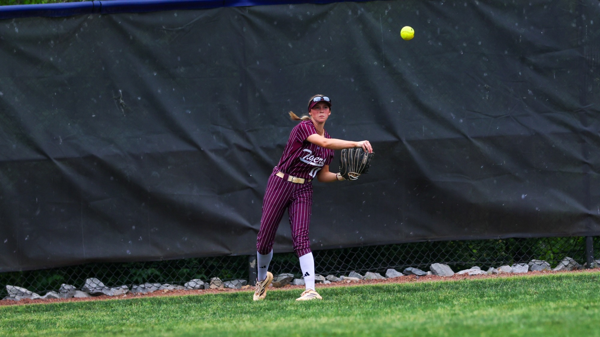 Lady Tiger throw