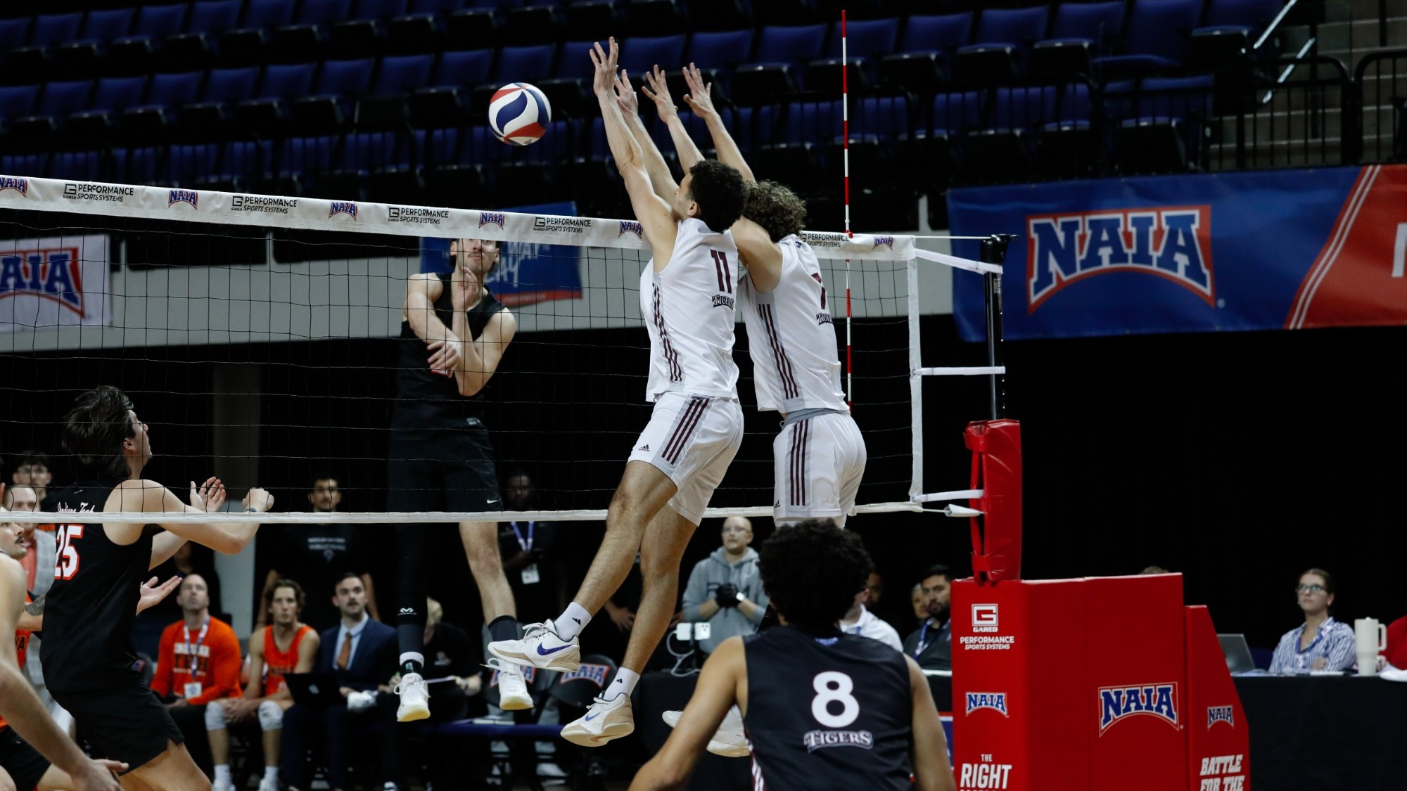 Tigers blocking at net