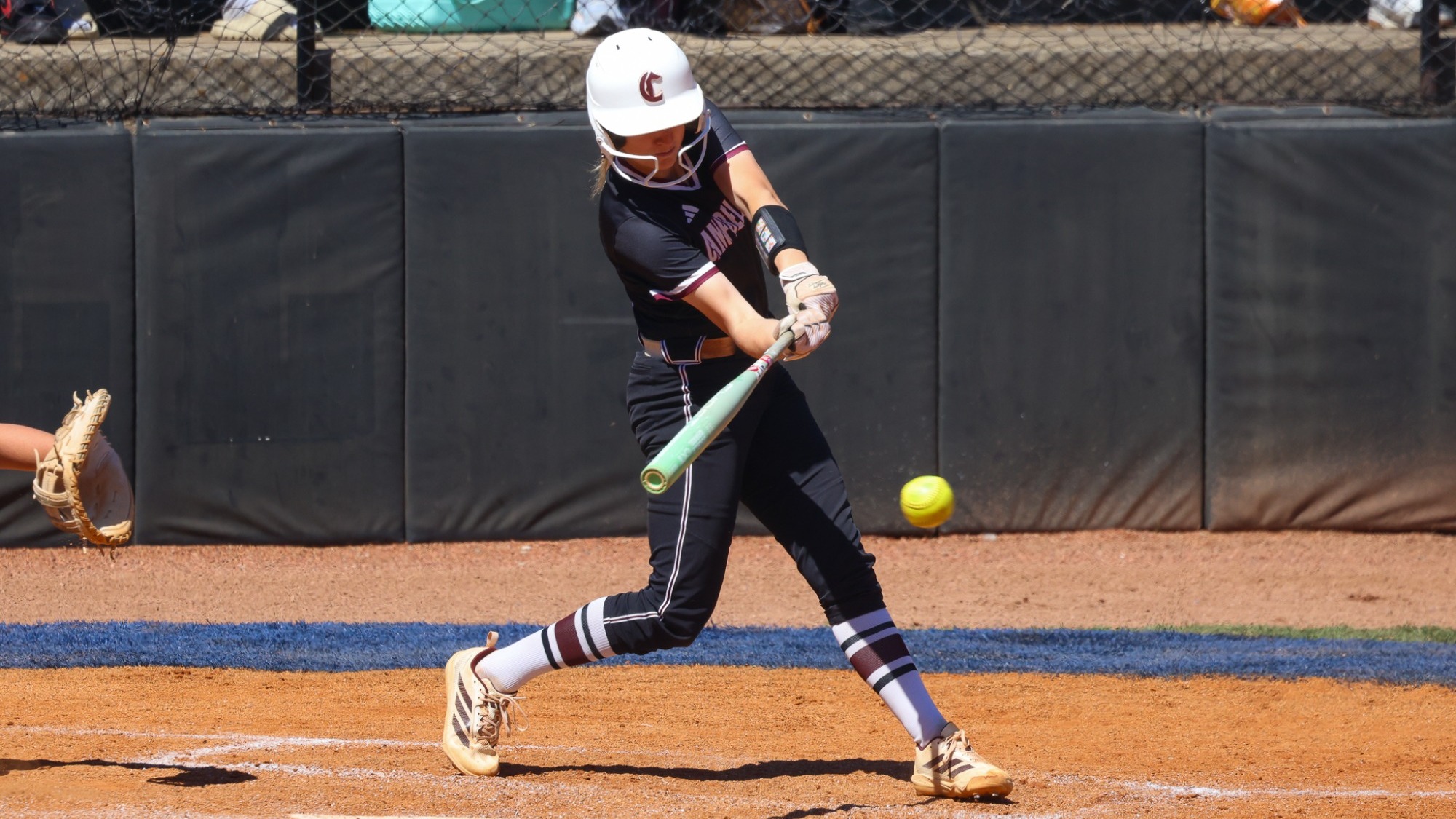 Lady Tiger swing