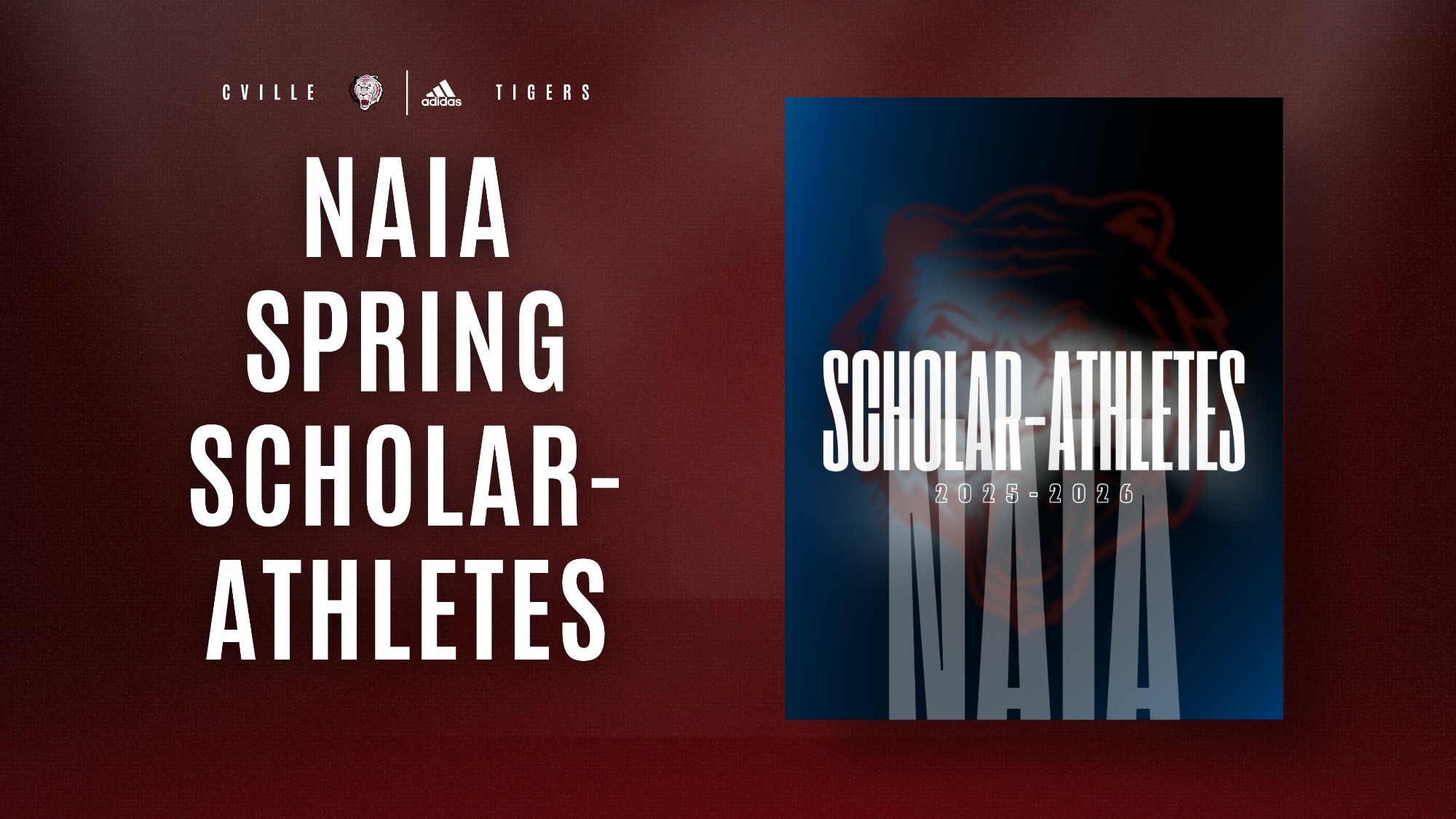 NAIA Spring SA graphic 5126