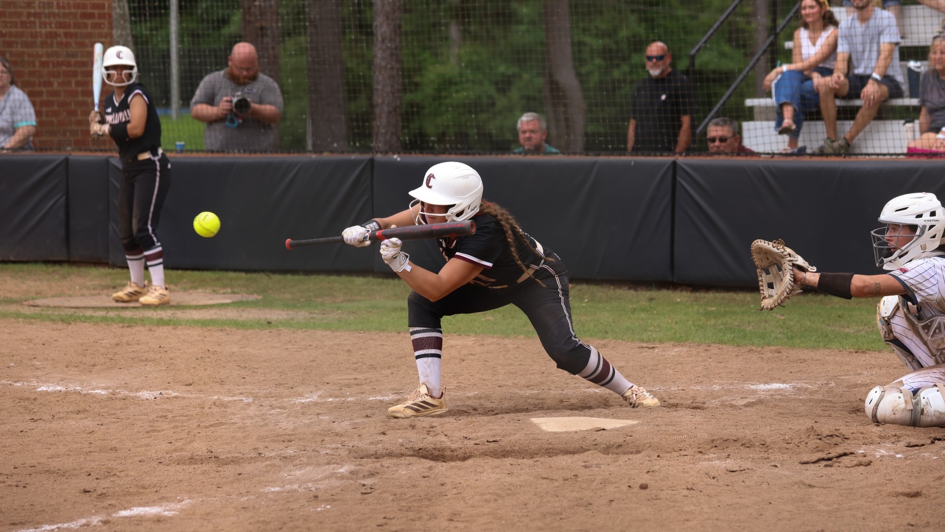 Lady Tiger bunt