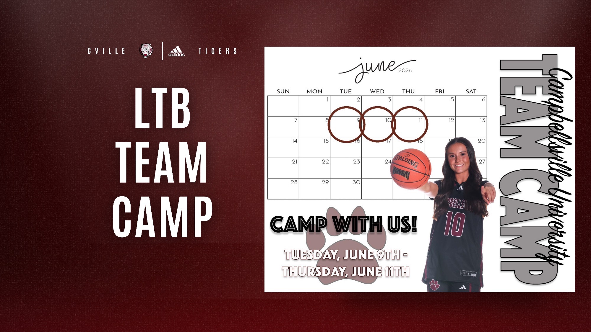 LTB Team