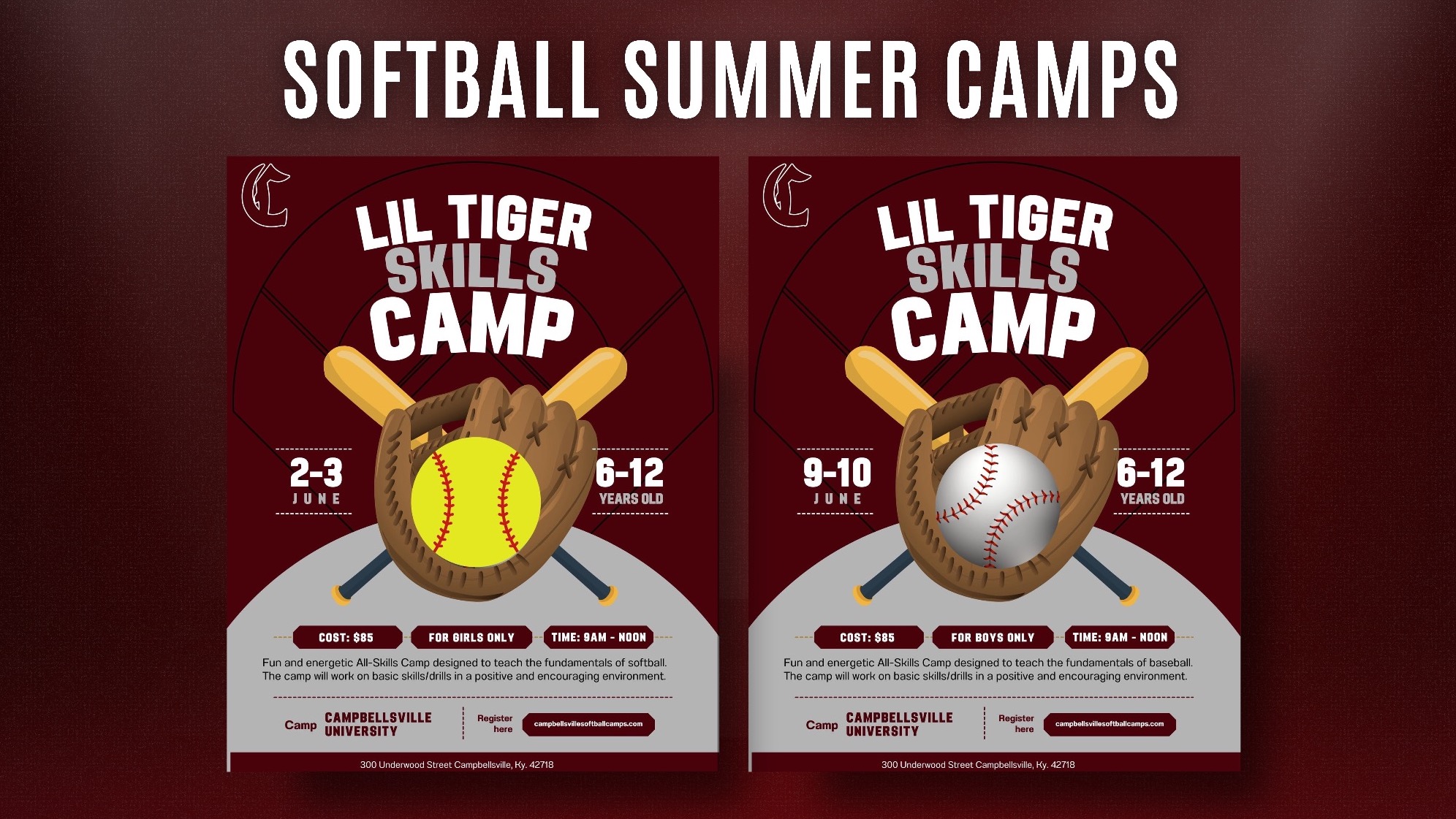 Softball Camps