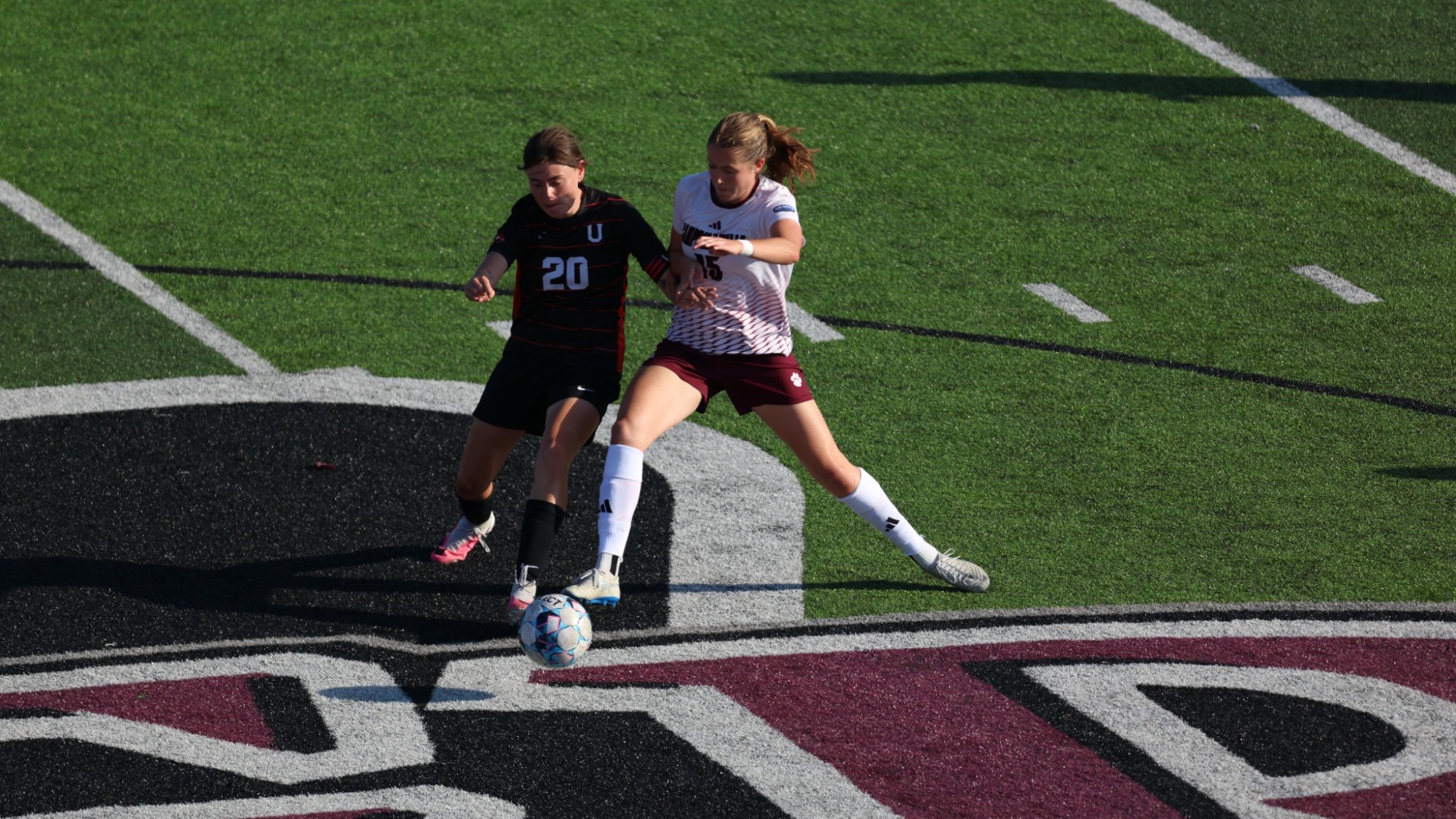Palframan battles for ball