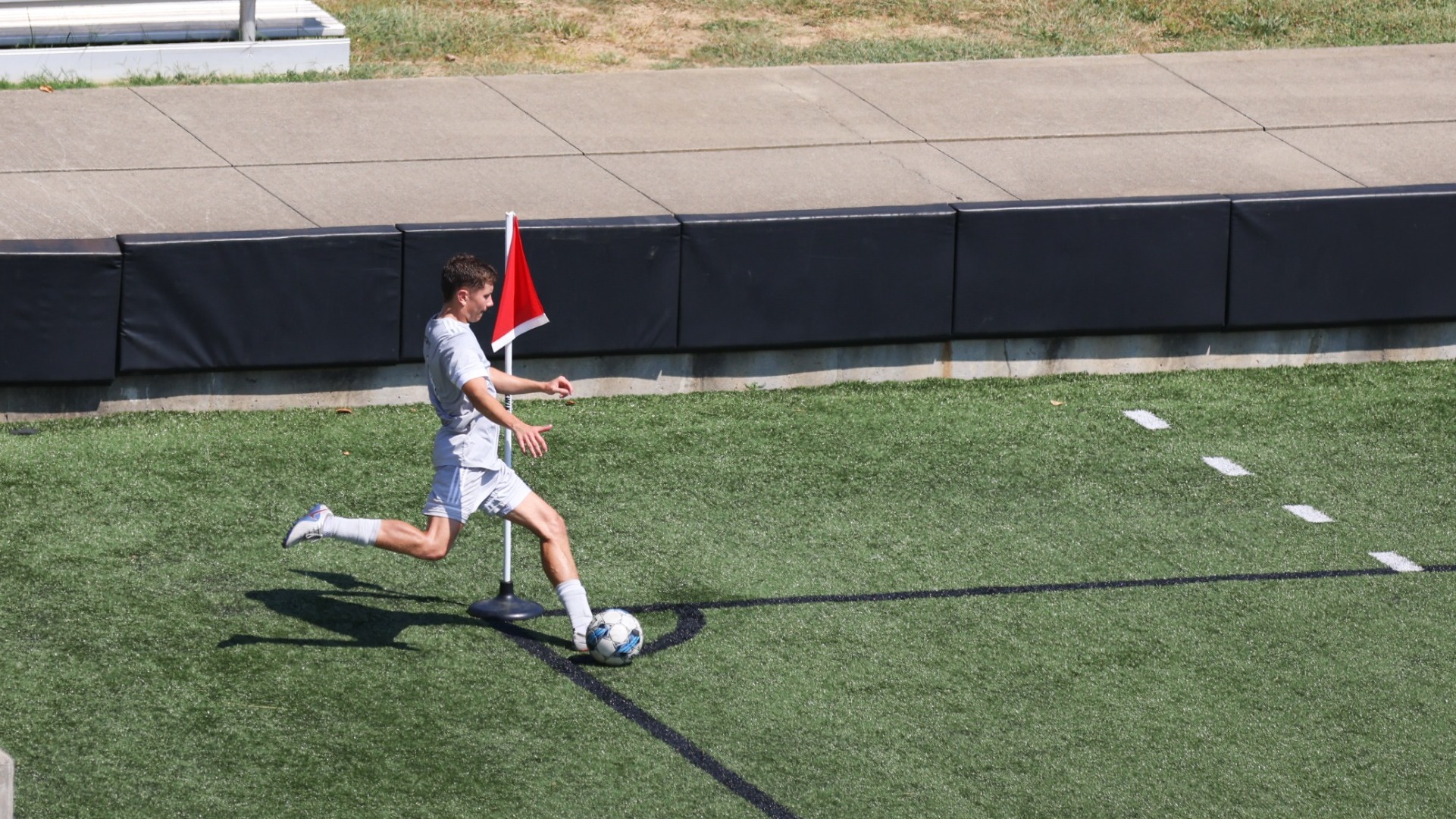 Tiger corner kick