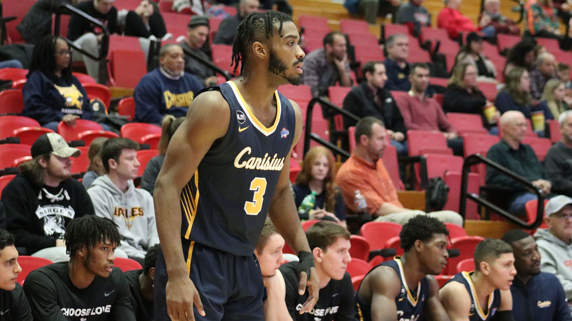 Early Turnovers Doom Men’s Basketball at Cornell - Canisius University