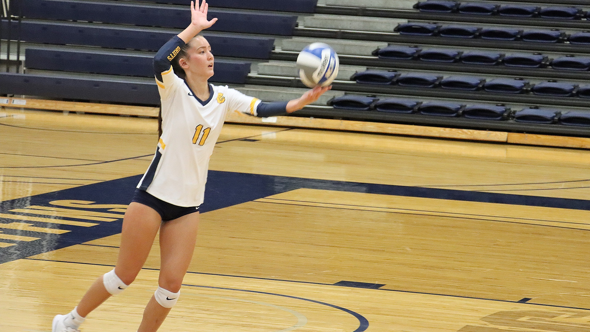 Kara Zaucha Volleyball Canisius University Athletics