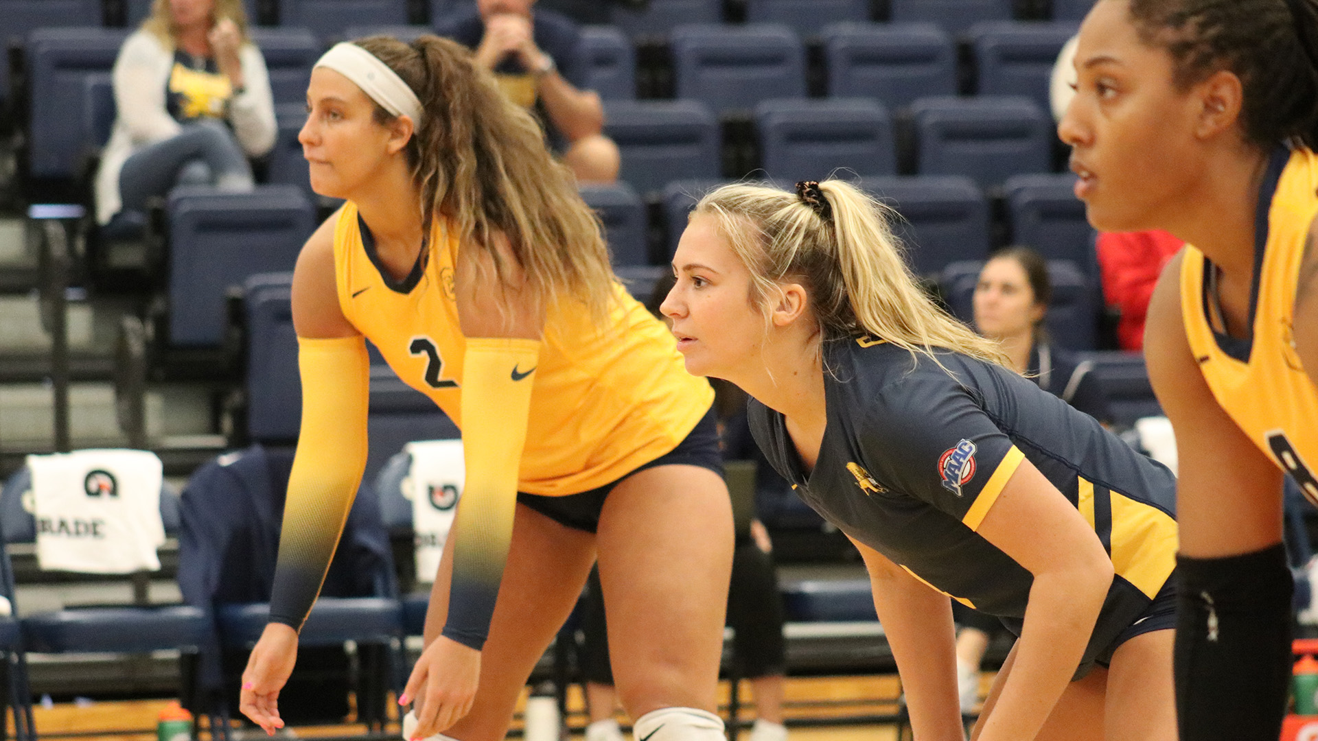 Volleyball Swept by Youngstown State Canisius College Athletics