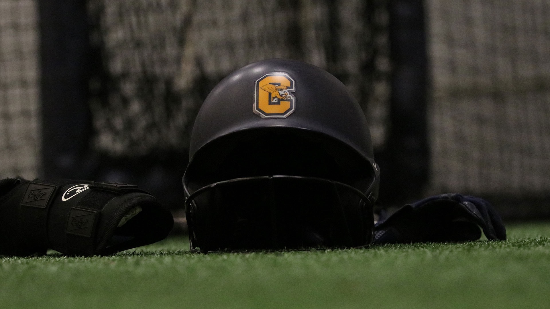 Canisius softball Helmet