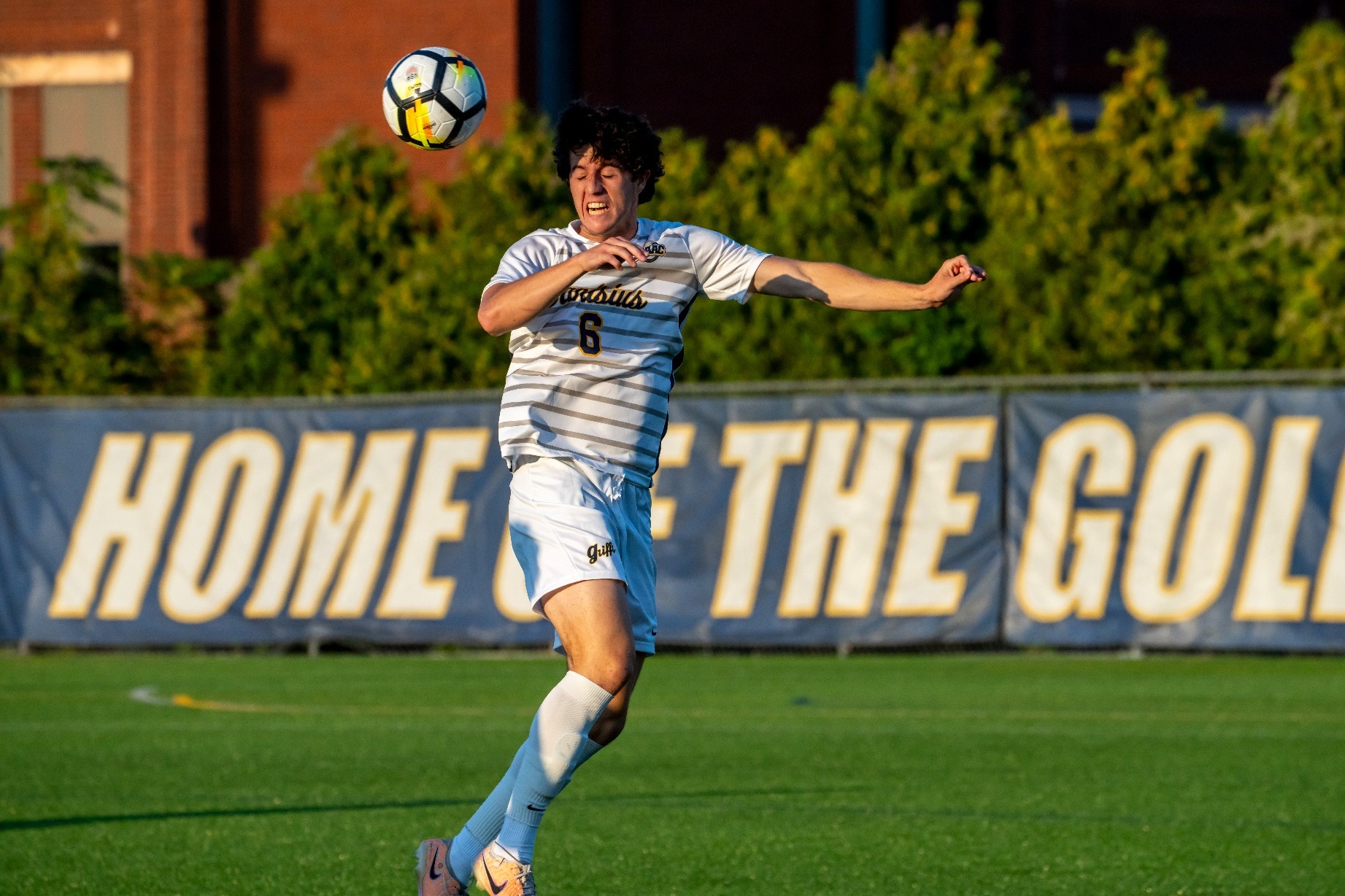 AJ Zarcone Men's Soccer Canisius University Athletics