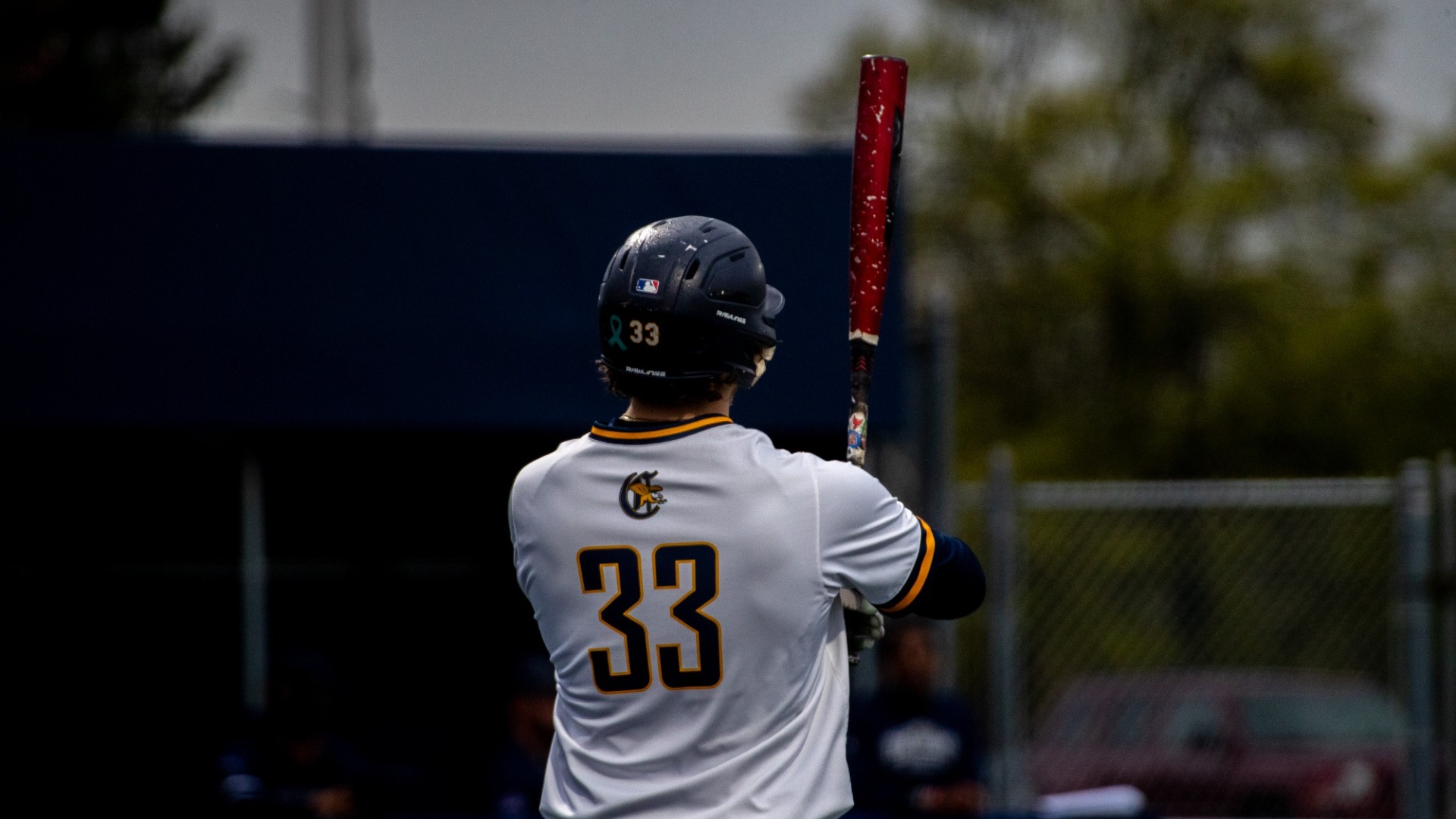 Thomas Zwirecki prepares for an at-bat against the Mount