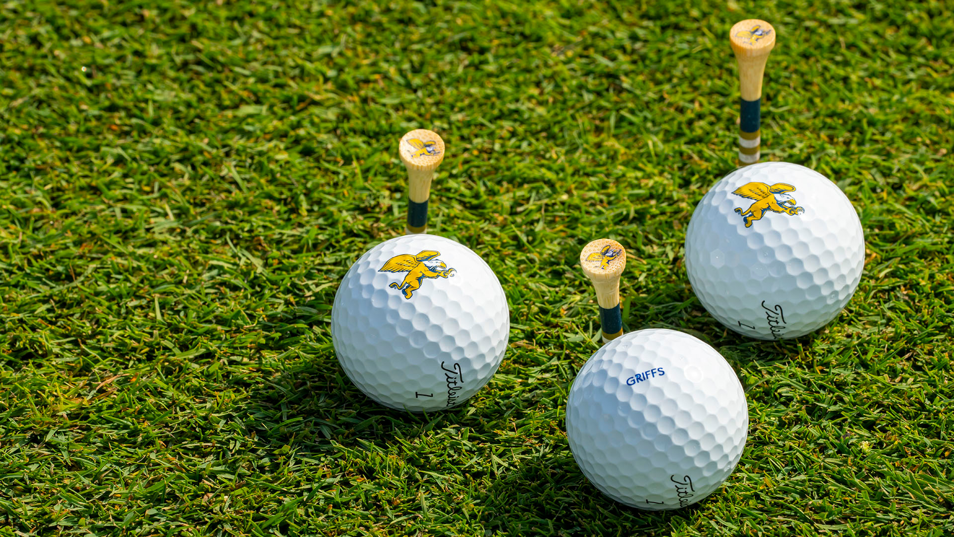 Canisius golf balls and tees on a tee box - taken Sept. 14, 2024