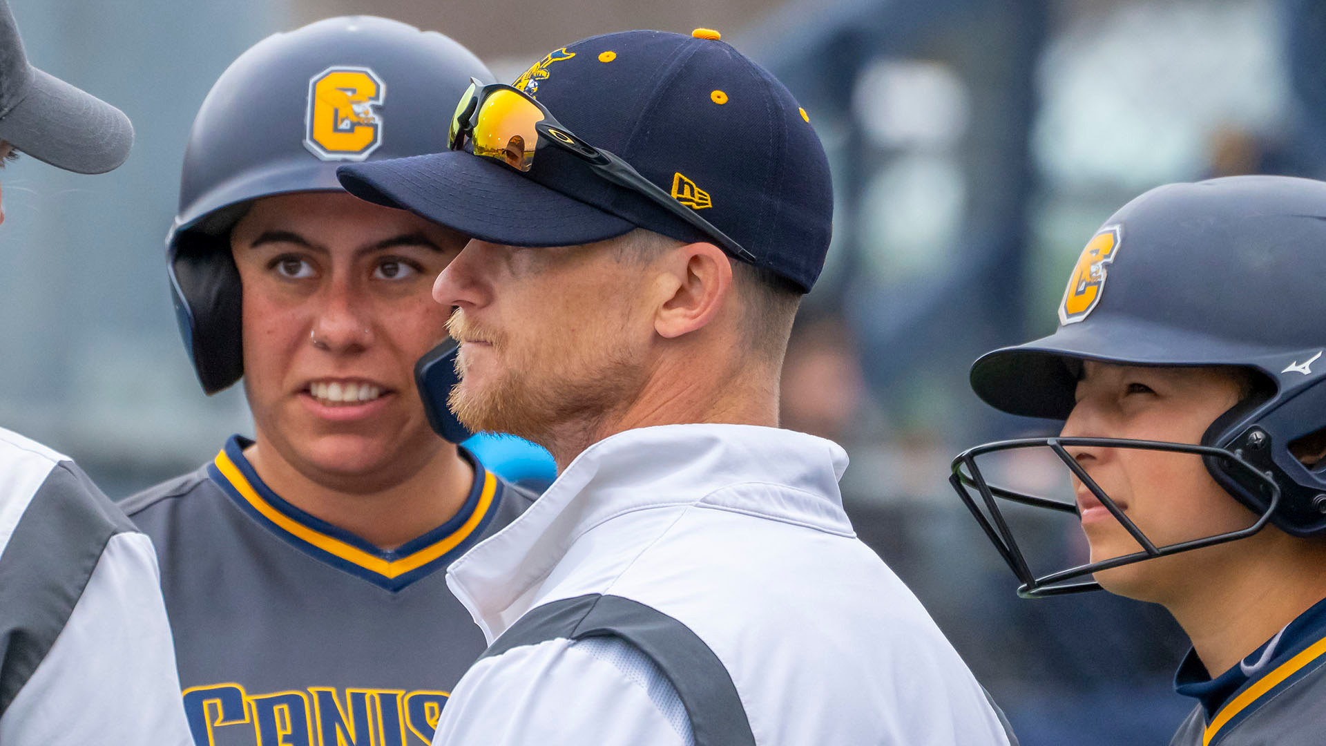 Joe Gierlak talks to Canisius hitters in between innings of a MAAC softball game against Rider during the 2025 season.