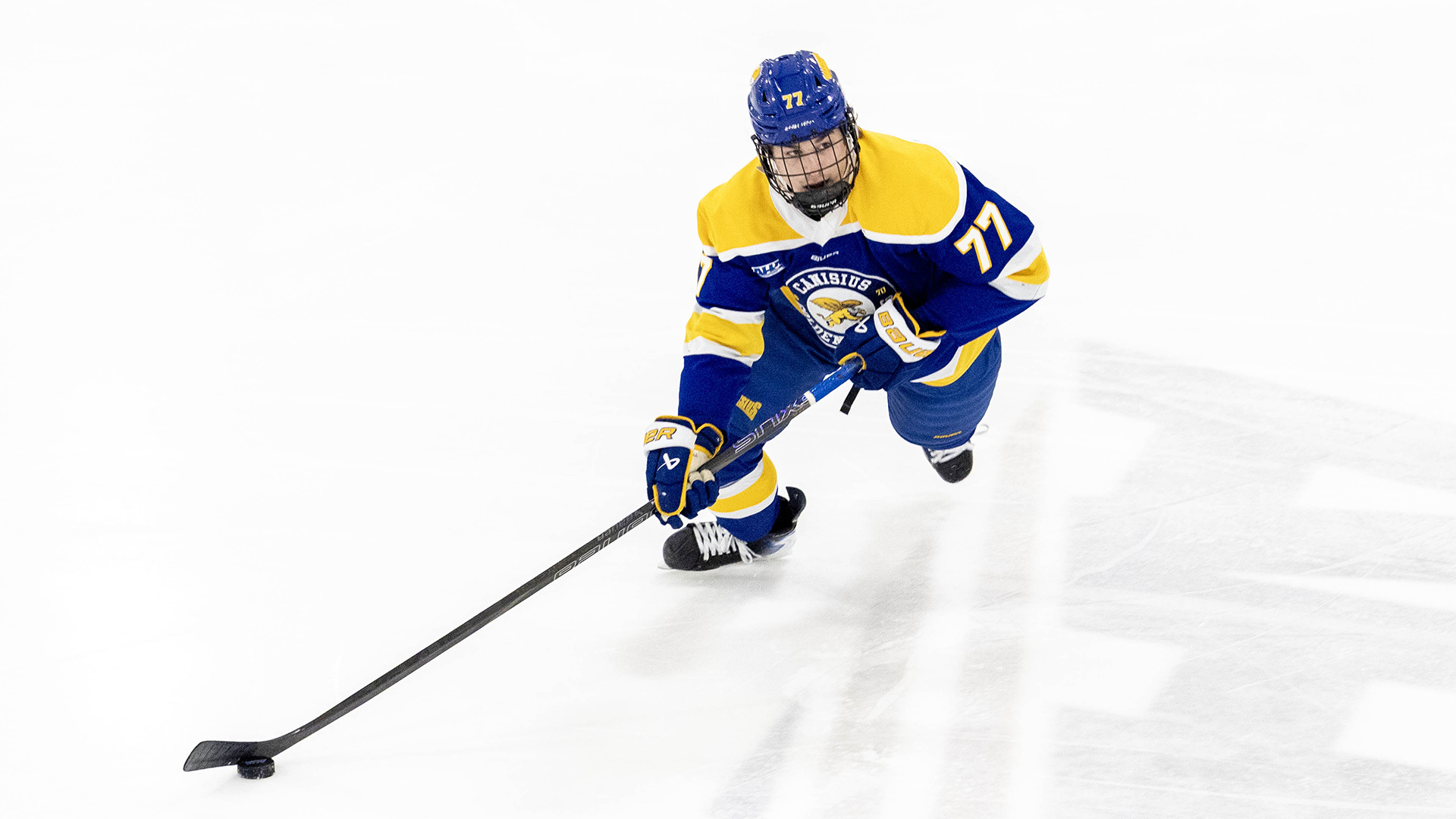 Canisius defenseman Jack Pascucci is shown in game action versus Mercyhurst at the Mercyhurst Ice Center in Erie, Pa.