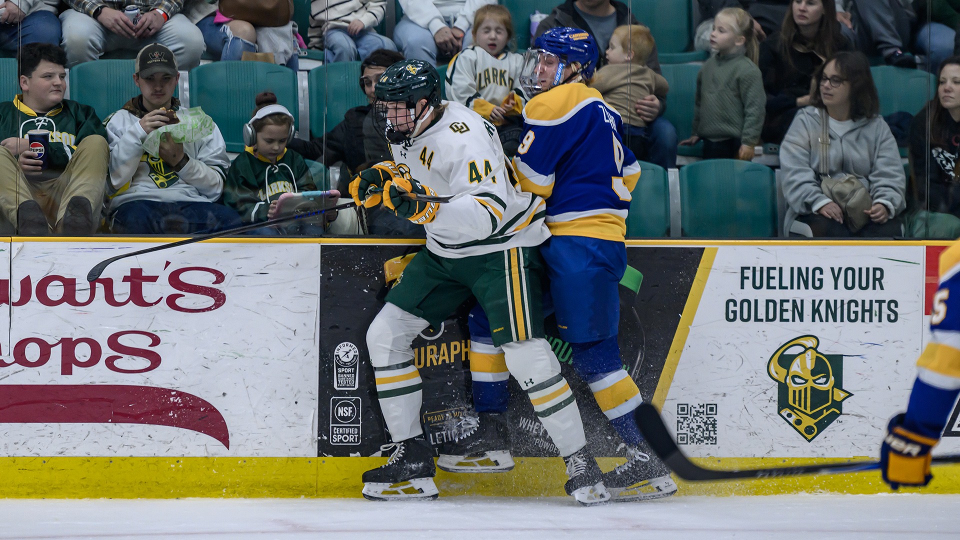 Canisius forward Walter Zacher and Clarkson's Ty Brassington are shown in game action at Cheel Arena in Potsdam, N.Y. 