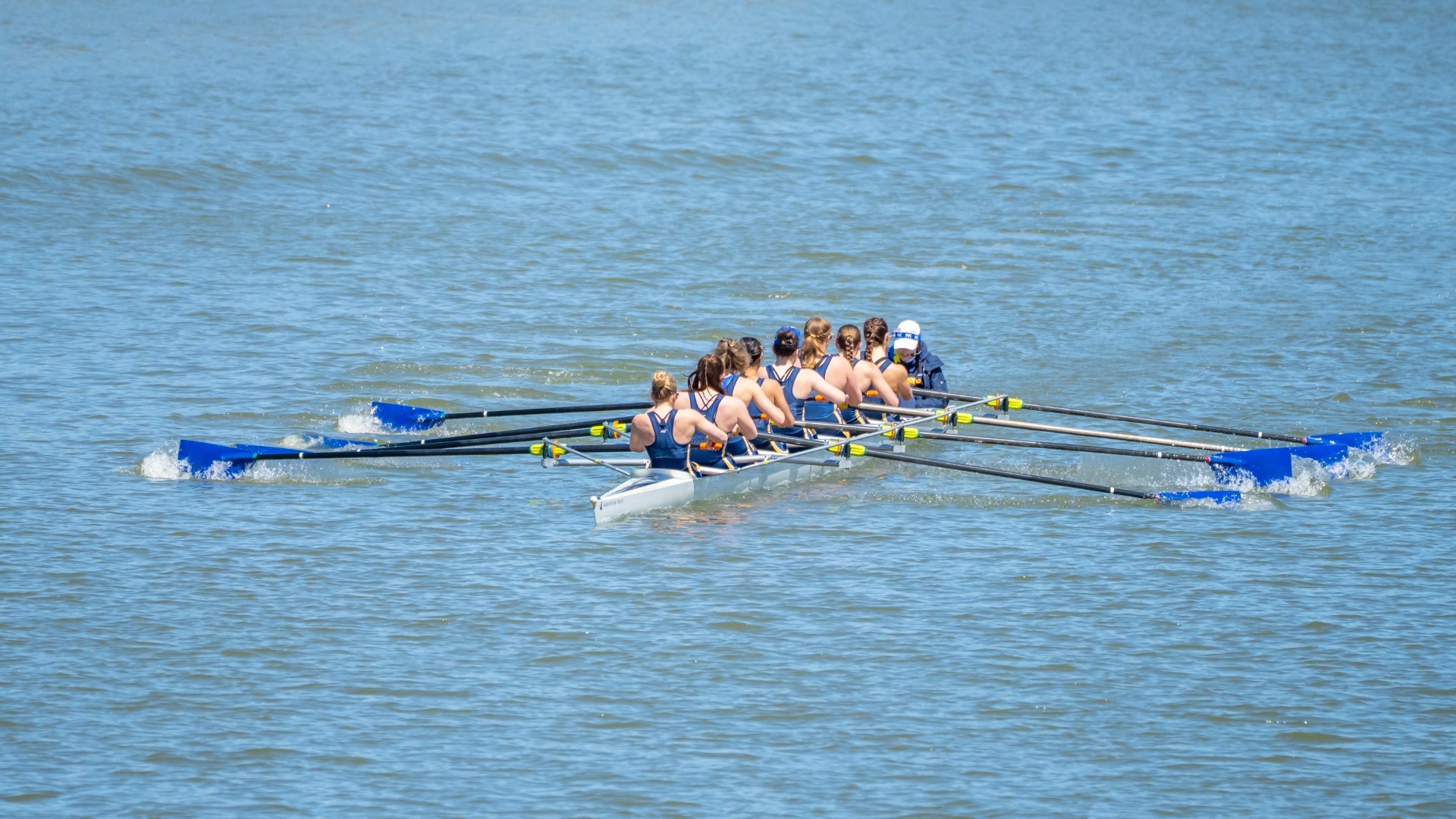 The rowing team races down the Niagara River in Buffalo N.Y. at the 2025 Black Rock Cup