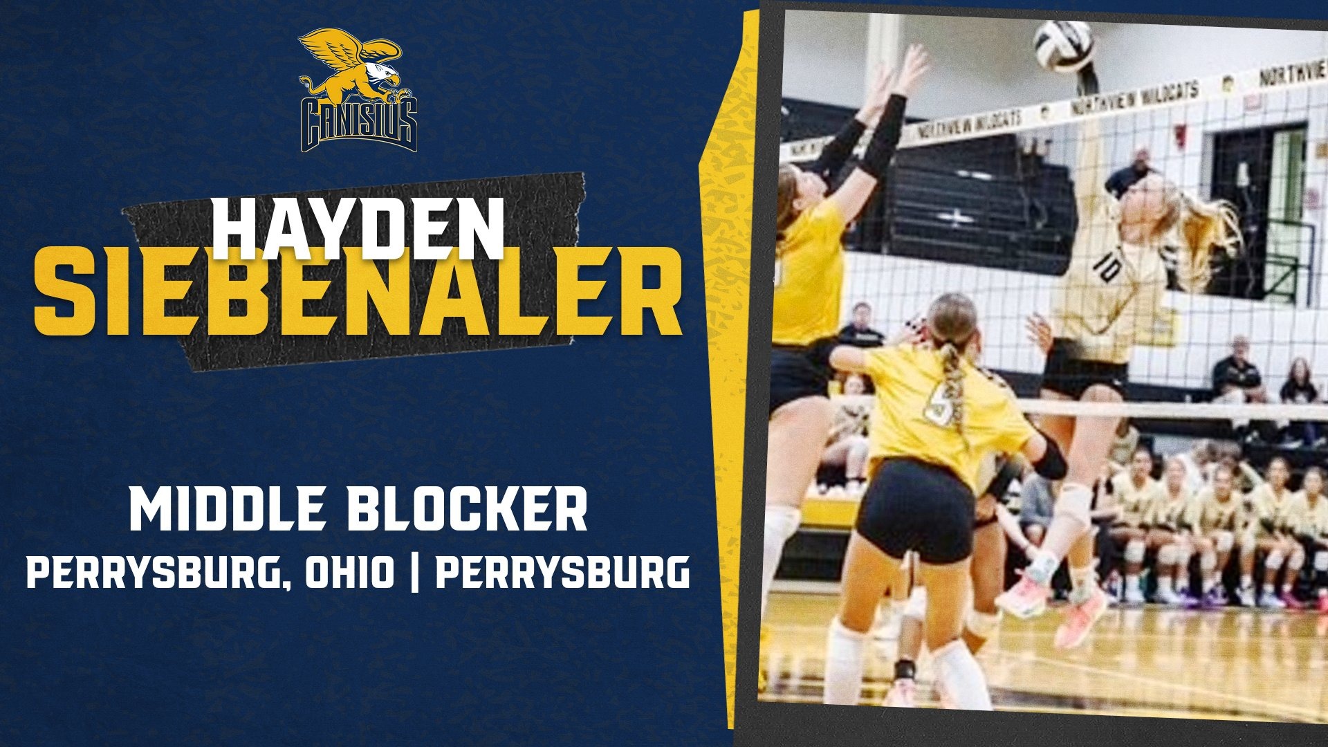 Hayden Siebenaler Signing Graphic