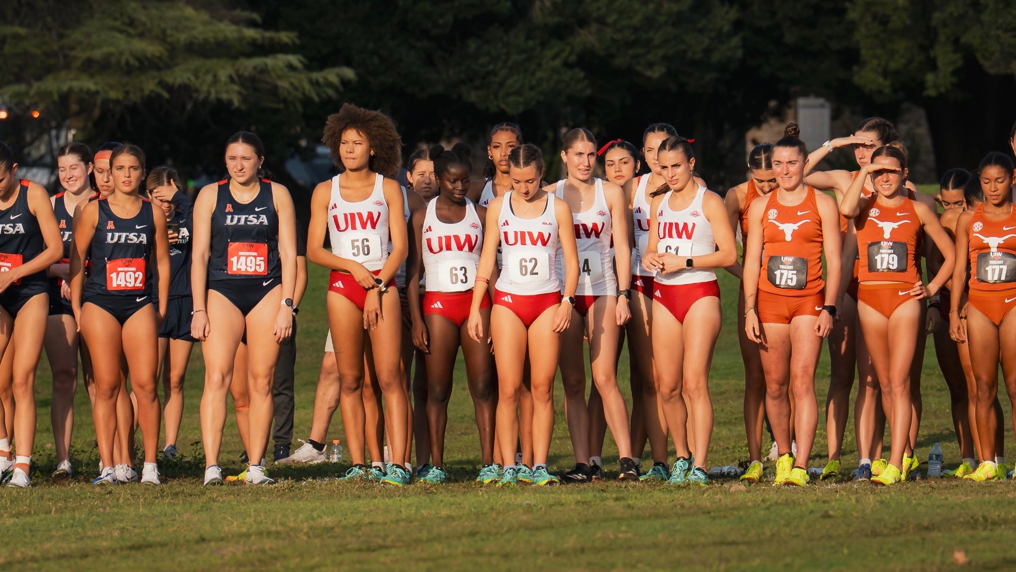 kiln;nflnklfnas;lkfnksl