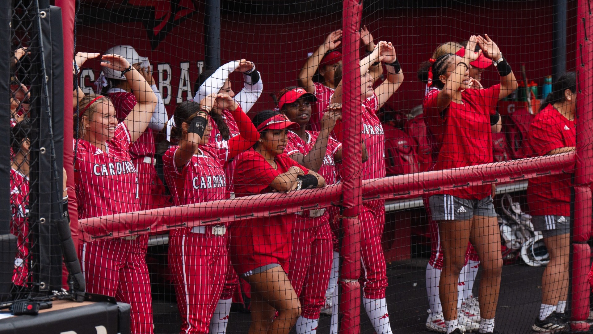 Softball dugout celebration