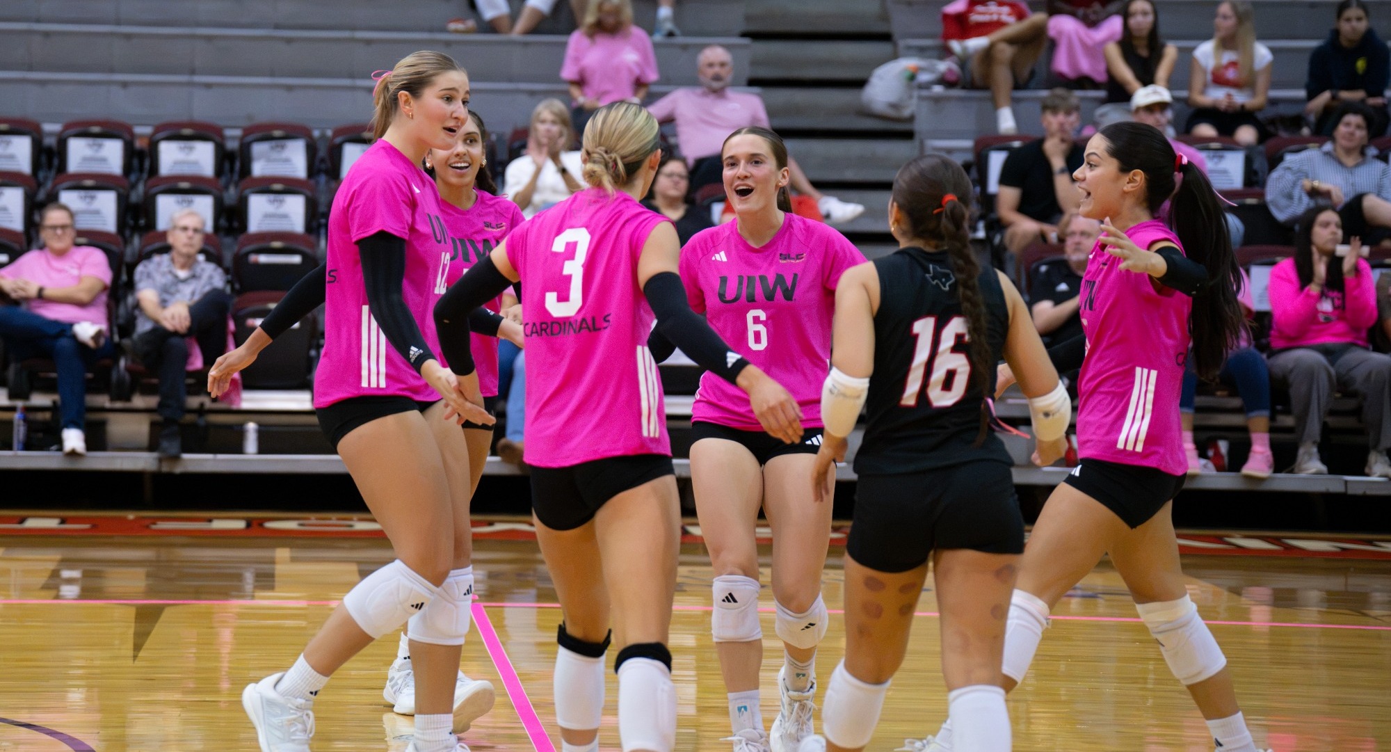 Volleyball celebrates at home 