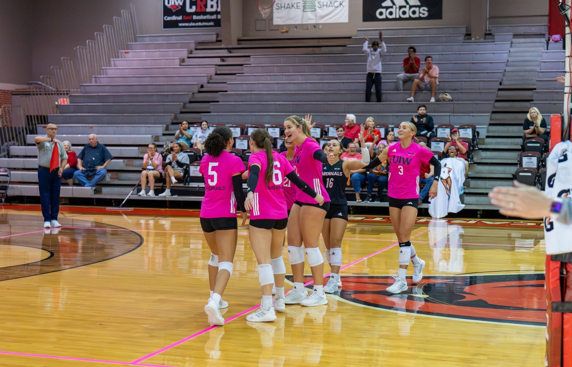 Volleyball celebrates at home