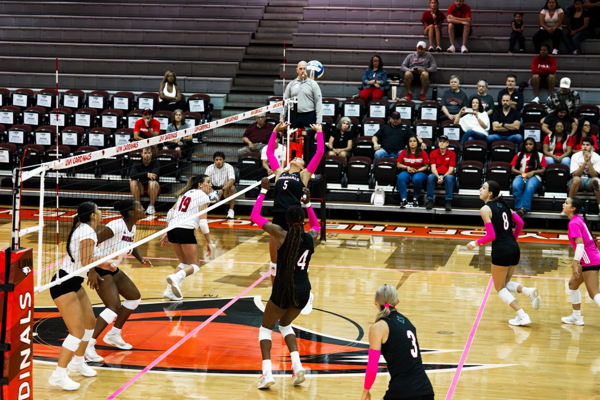 Allison sets it against Nicholls