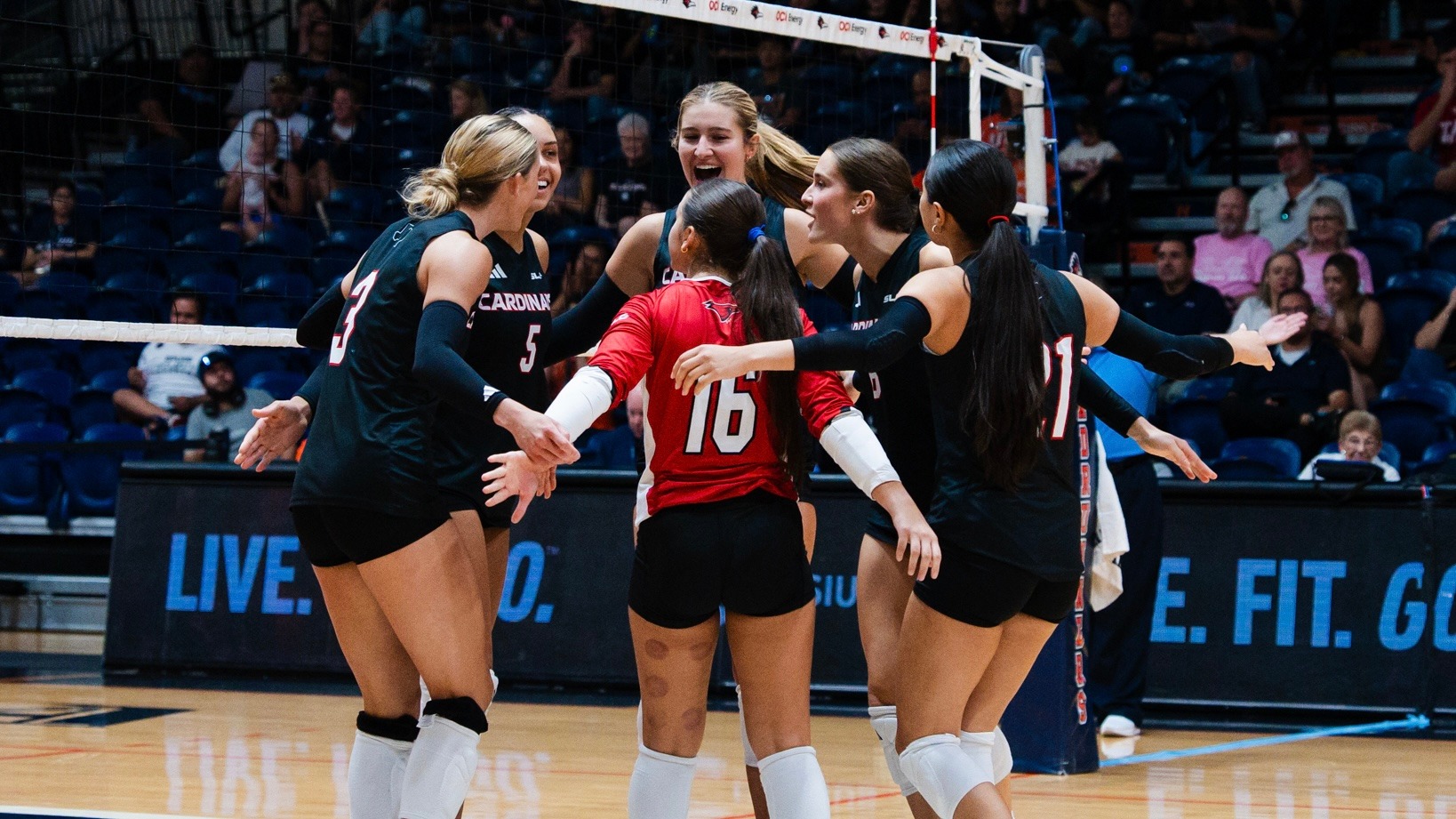 Volleyball celebrates in the huddle
