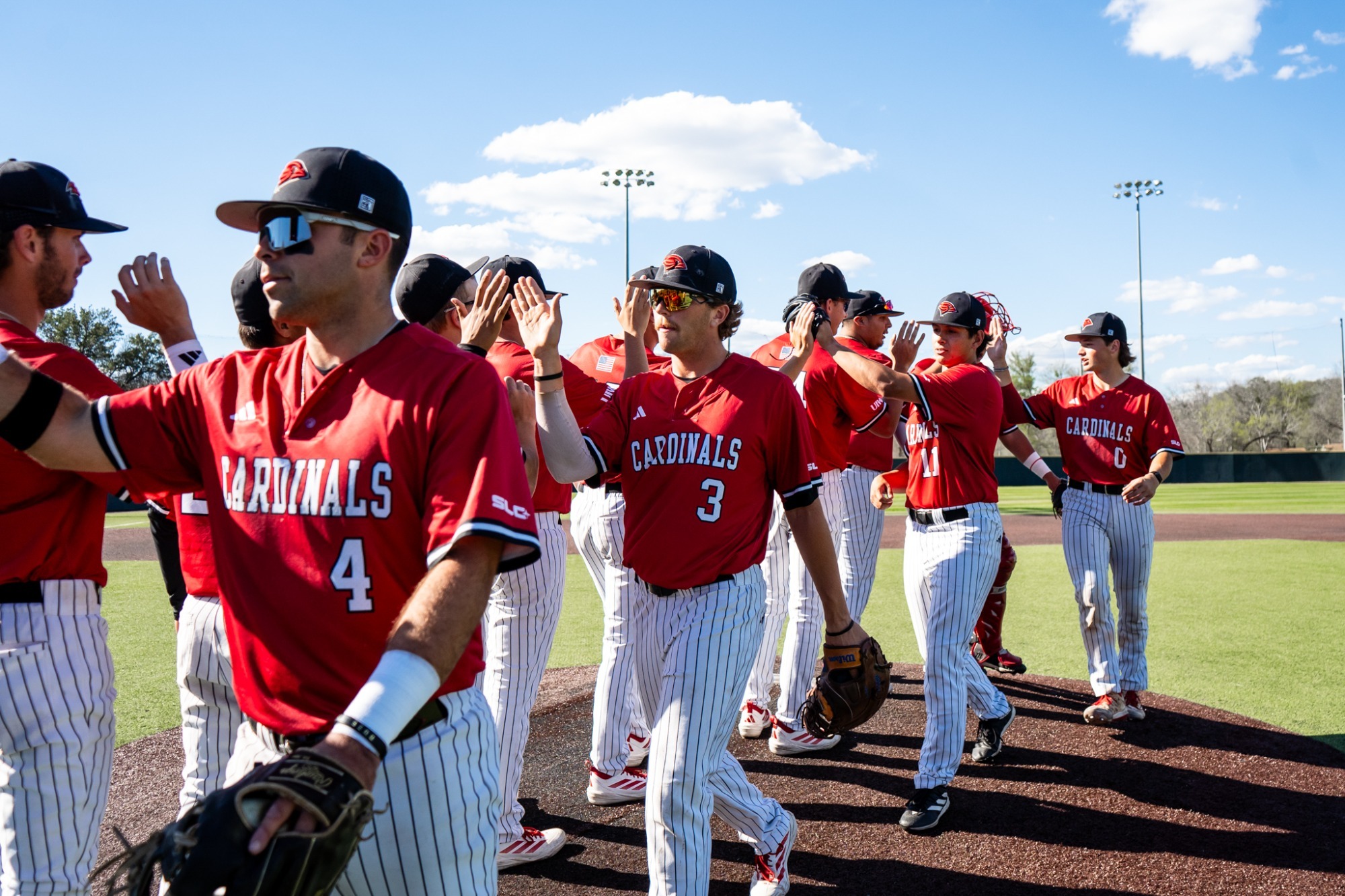 Baseball Celebration Win