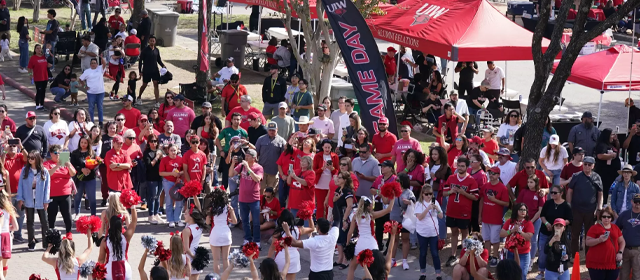 Fans in stadium