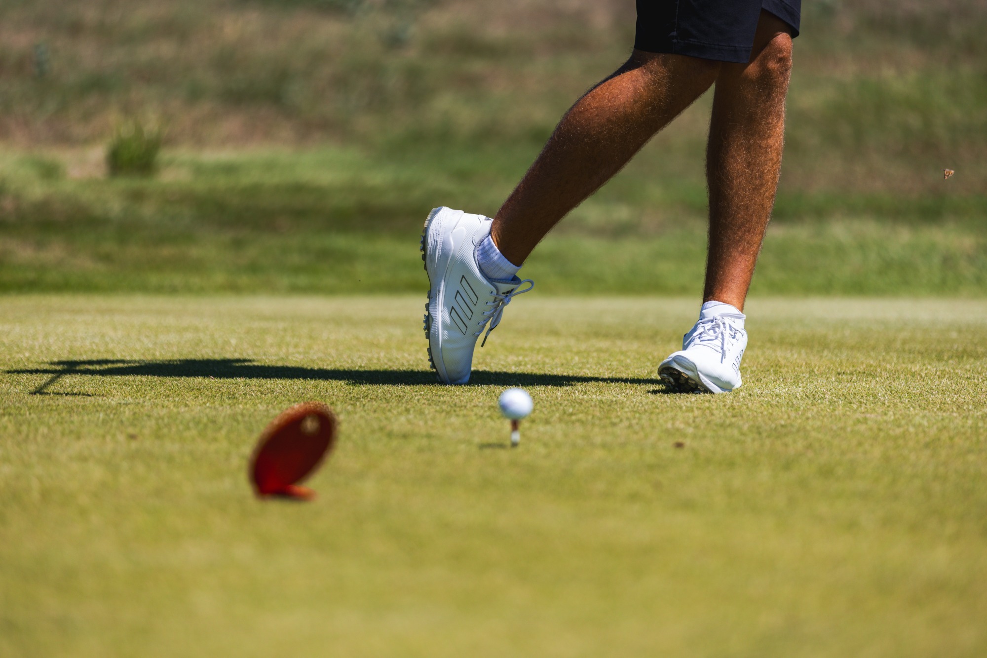 Golf Wildcat Invitational