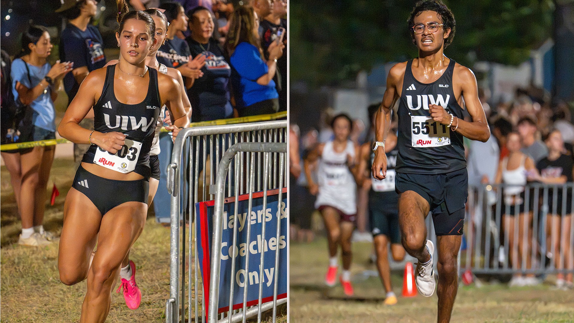 UIW Twilight preview photo