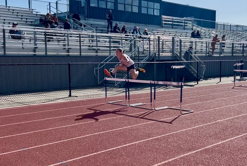 HURDLES