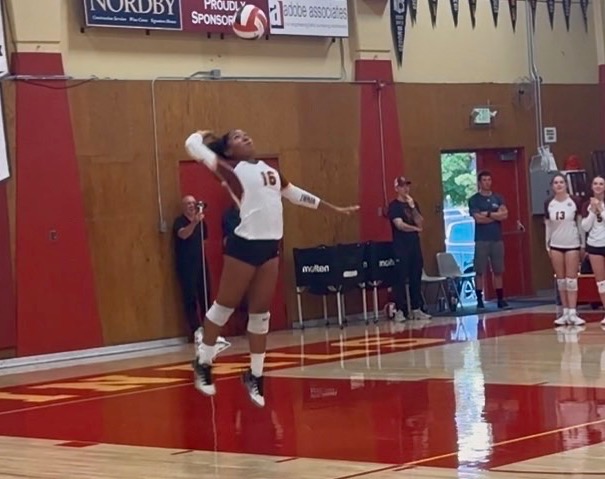 Vb
