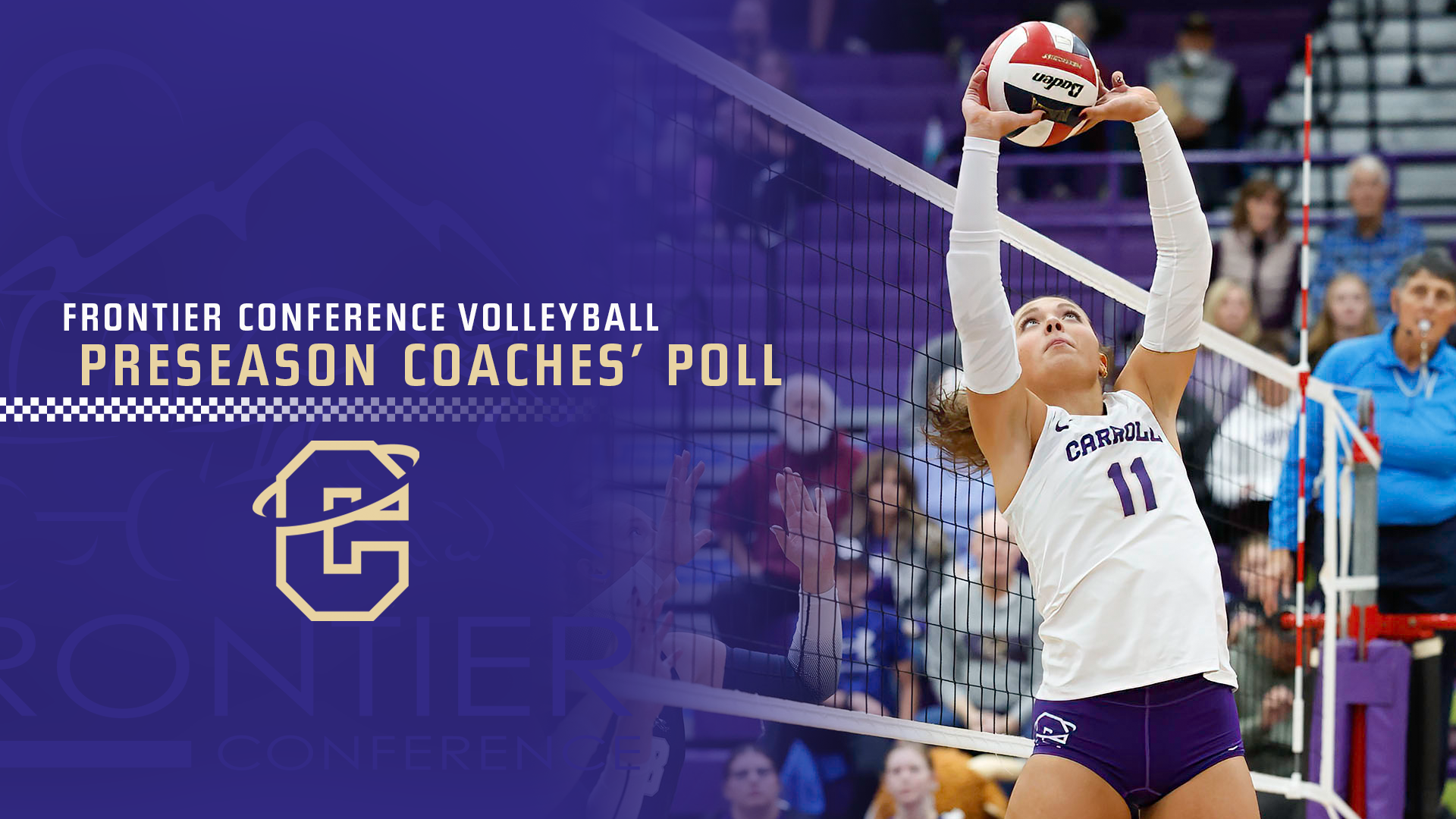 vb poll
