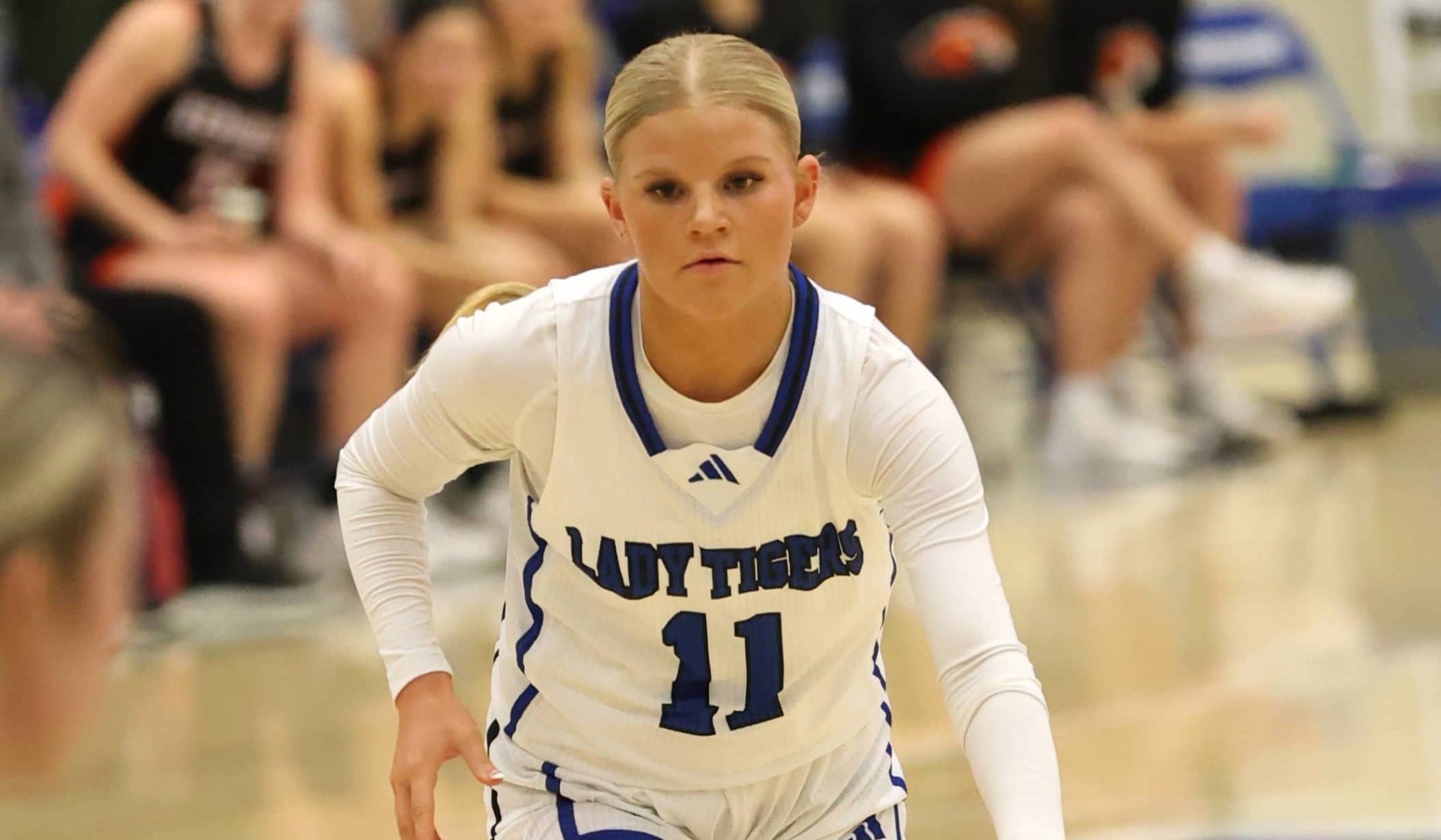 Ozone Preview Brunnert GBKB