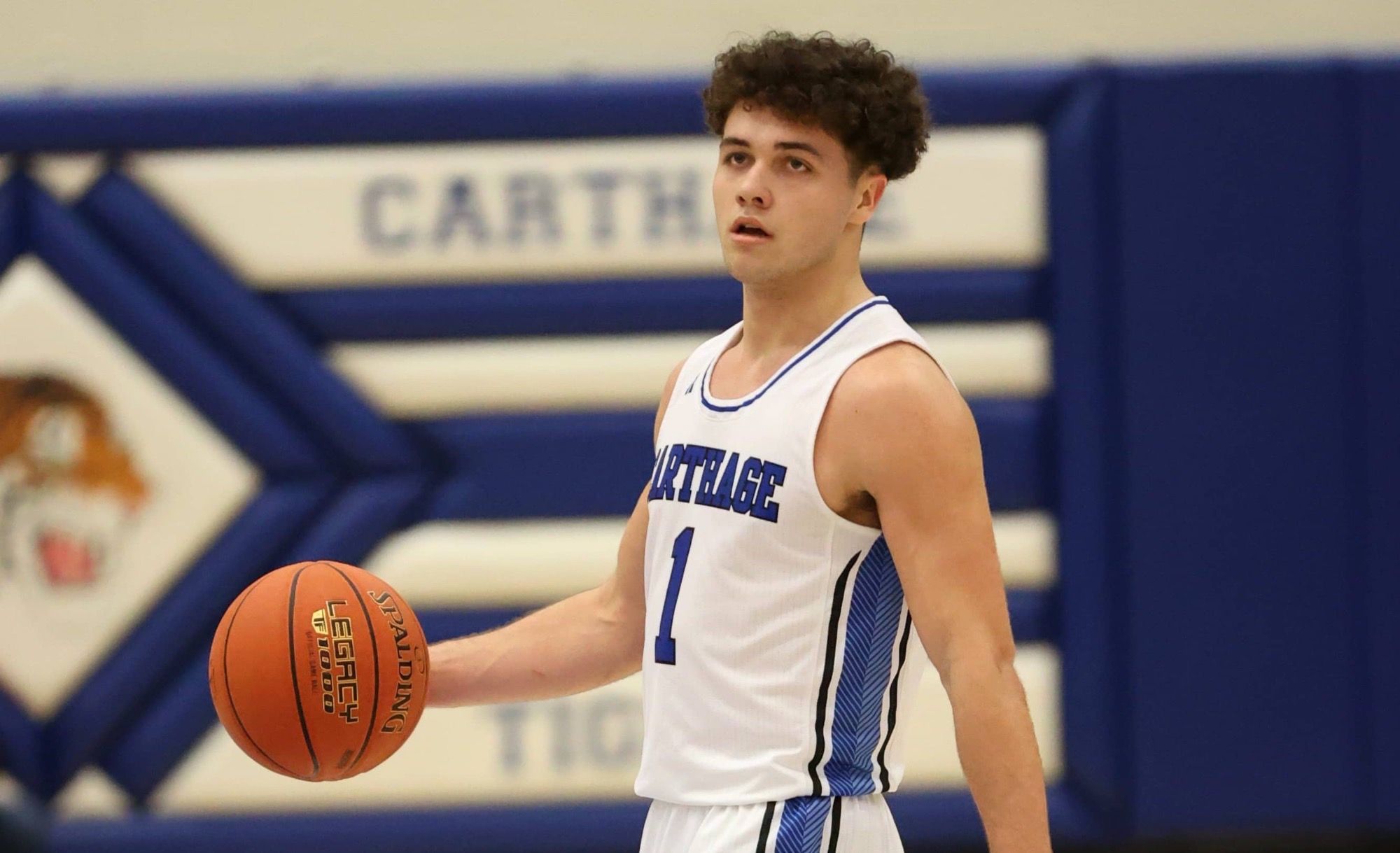 Ozone Preview Castor