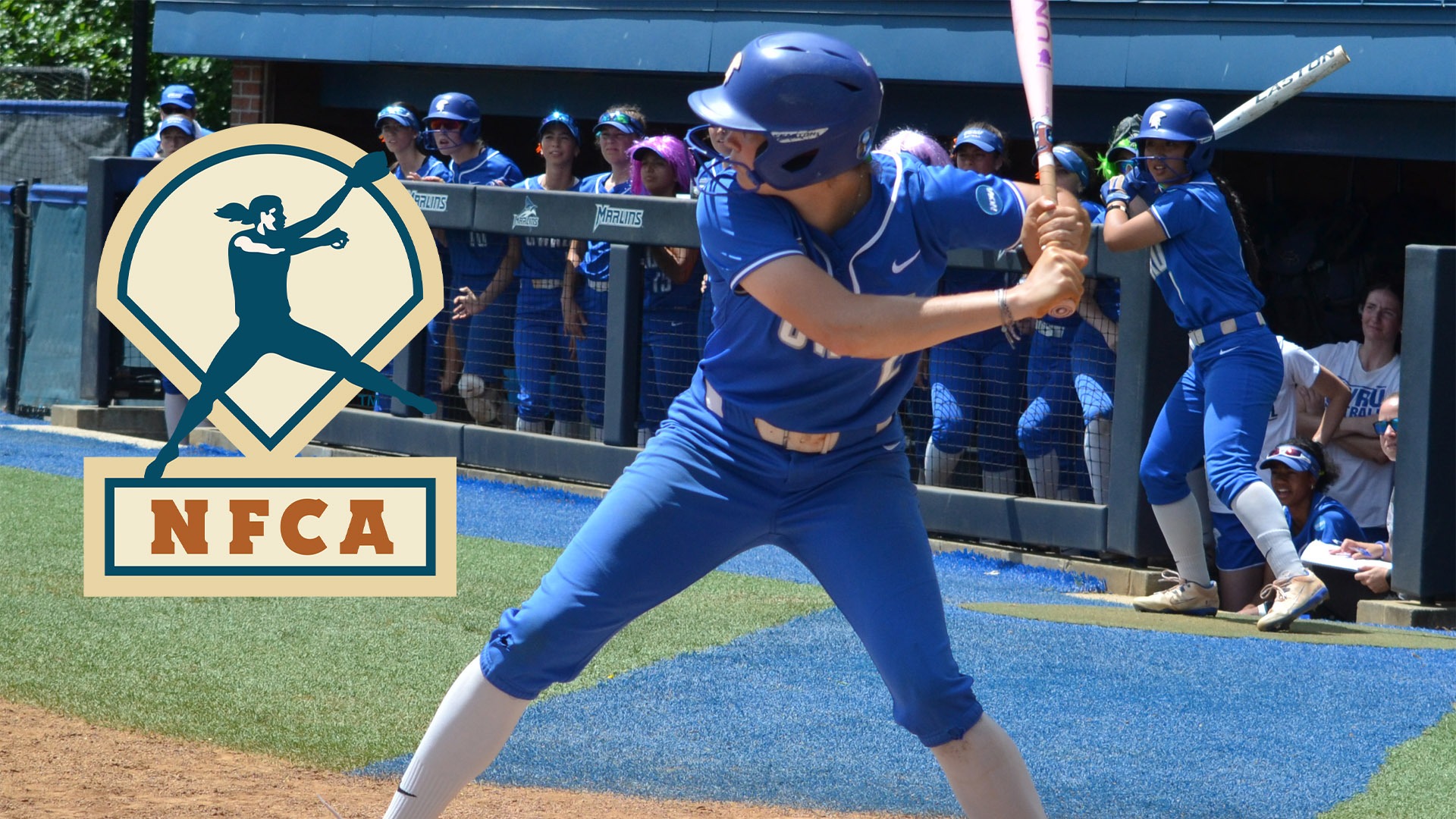 Karen Potts batting against Virginia Wesleyan