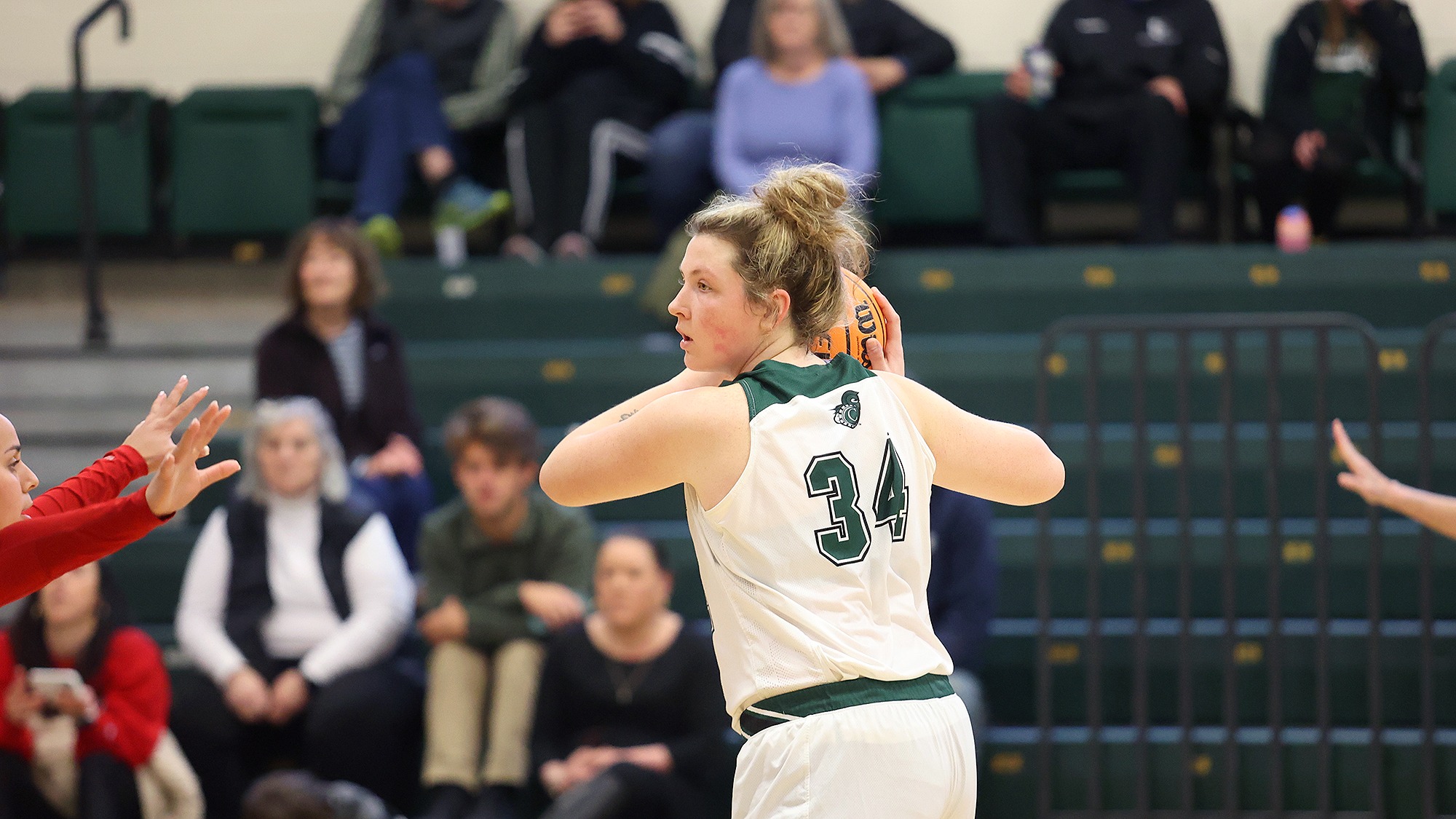 Women's Basketball Topples RPI, 7659 Vermont State University Castleton