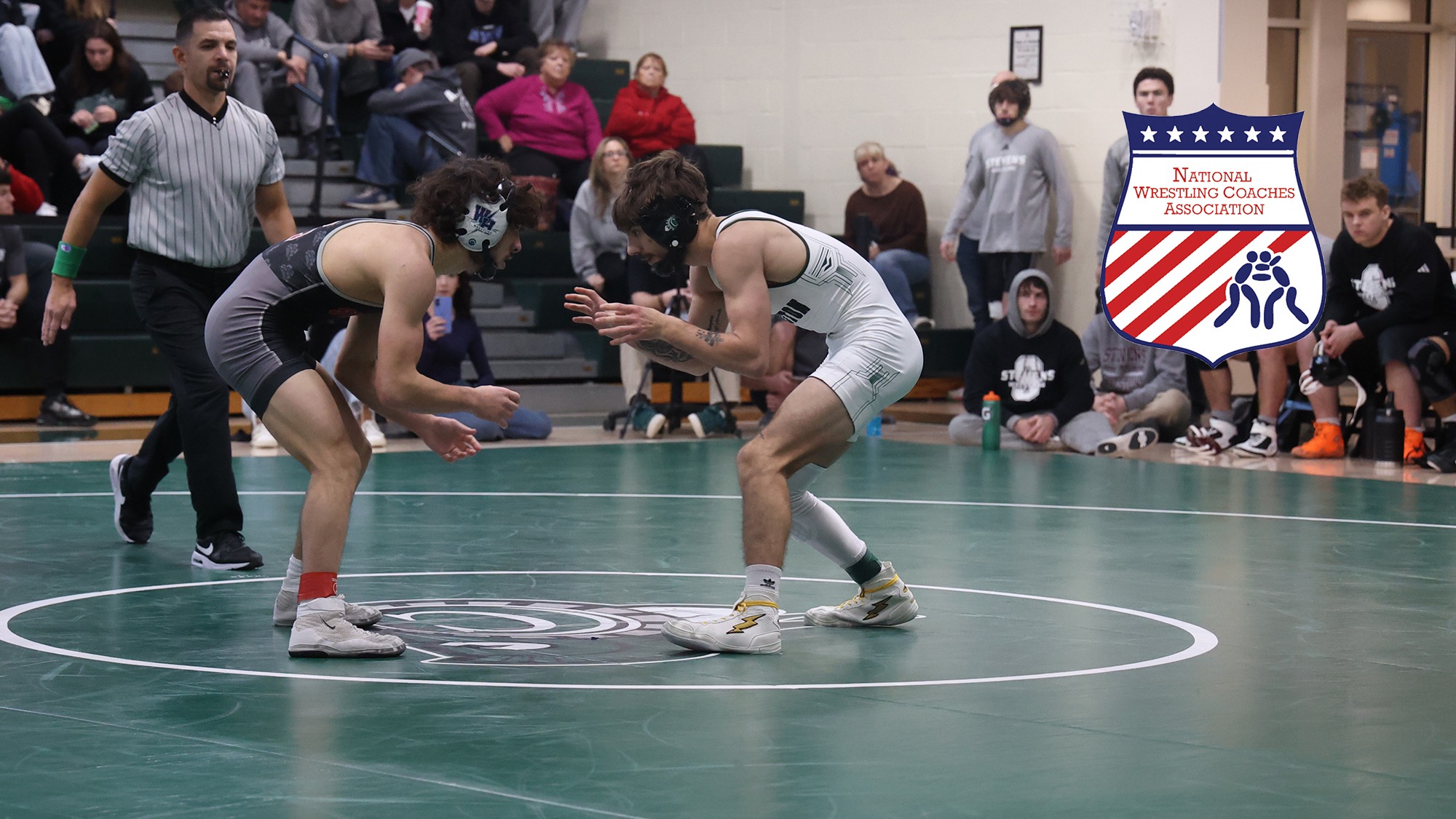 Drew Marchese NWCA