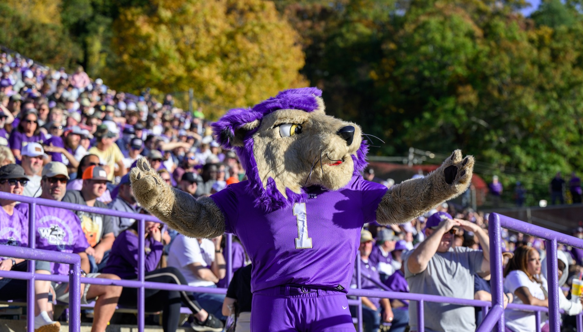 Paws - at Whitmire Stadium