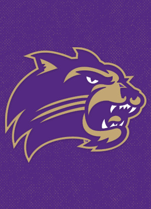 Catamount Head - Head Shot 