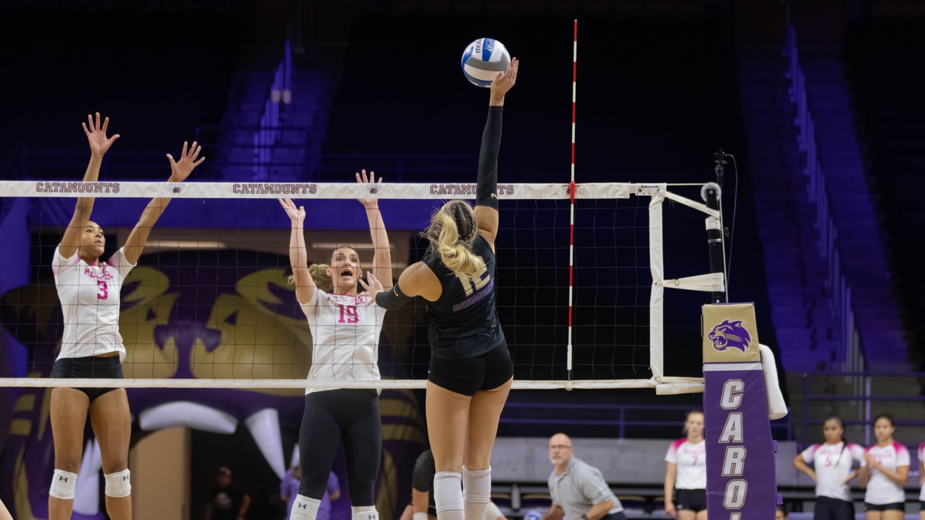 Tatum Sharp vs Mercer