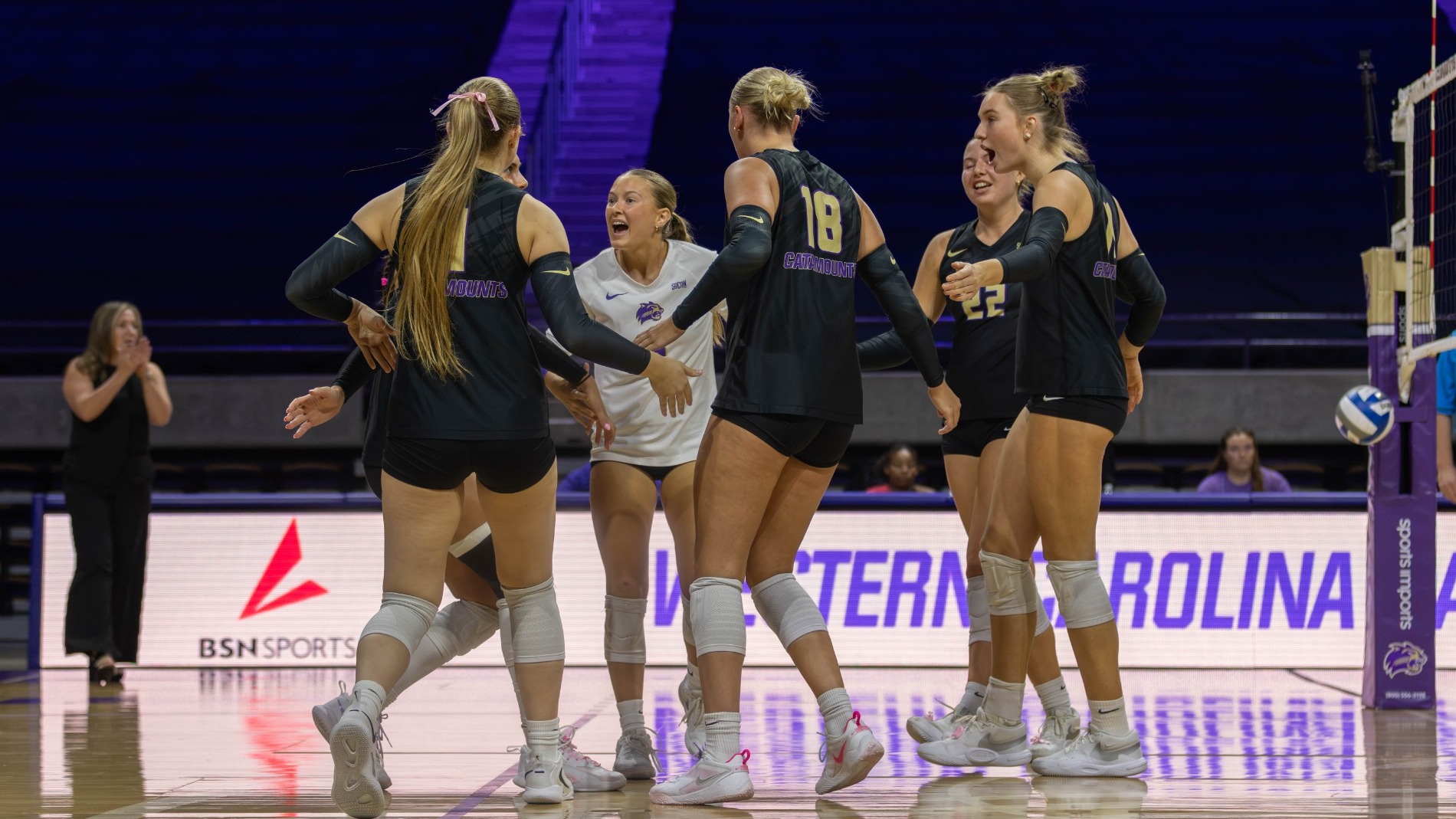 Team vs Furman - Friday 