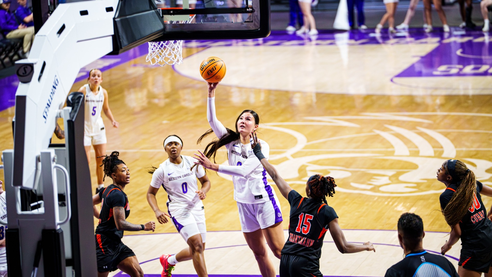 Ary Dizon vs Mercer 2026