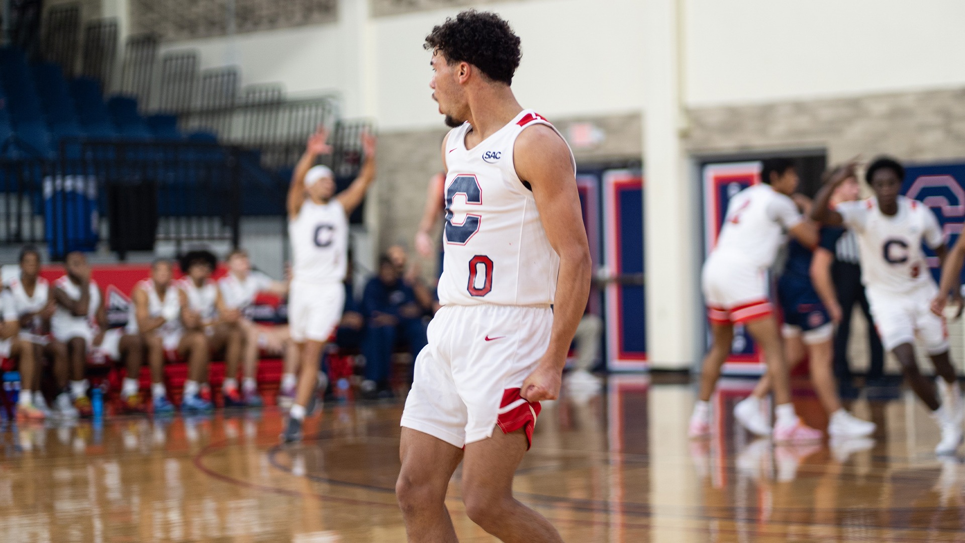 Chase Daniel looking toward the bench following a three-pointer against Carson-Newman