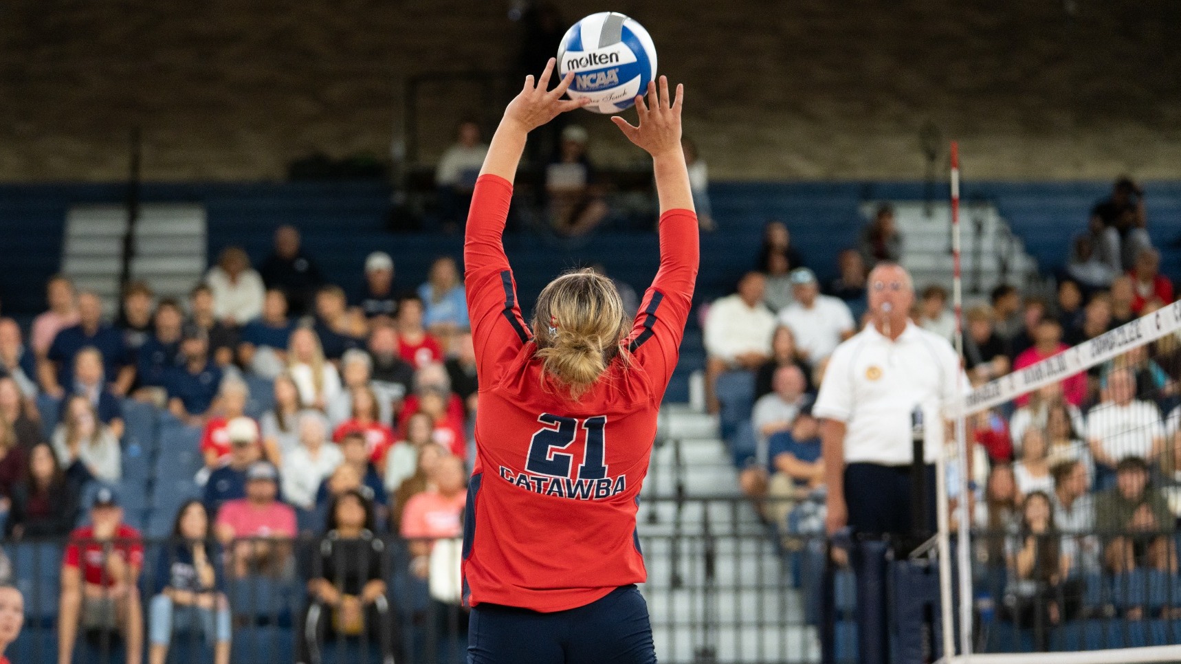WVB Story Image 10/24/26