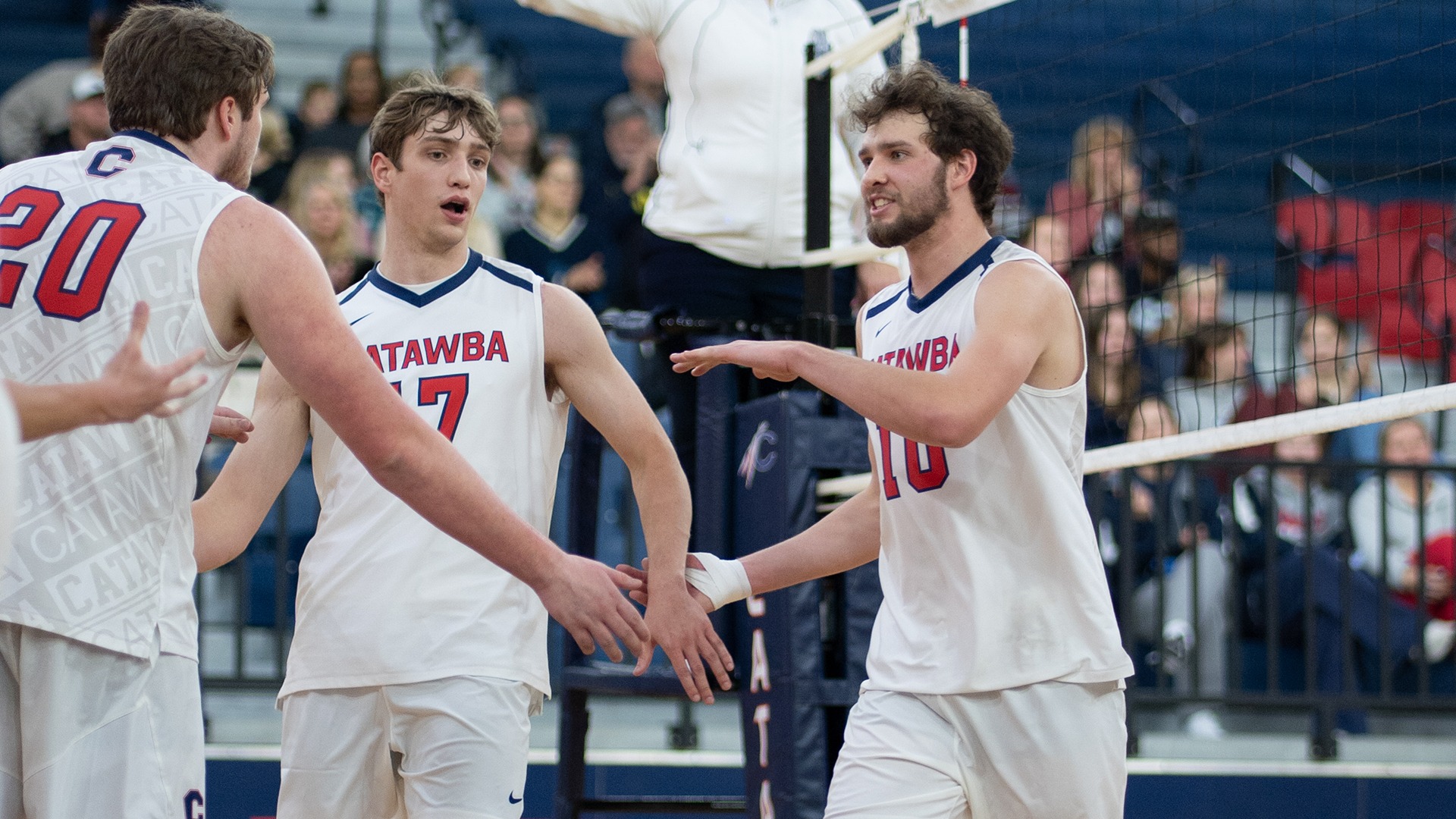 Wyatt Eastin celebrates a point, high-fiving teammates against Lees-McRae