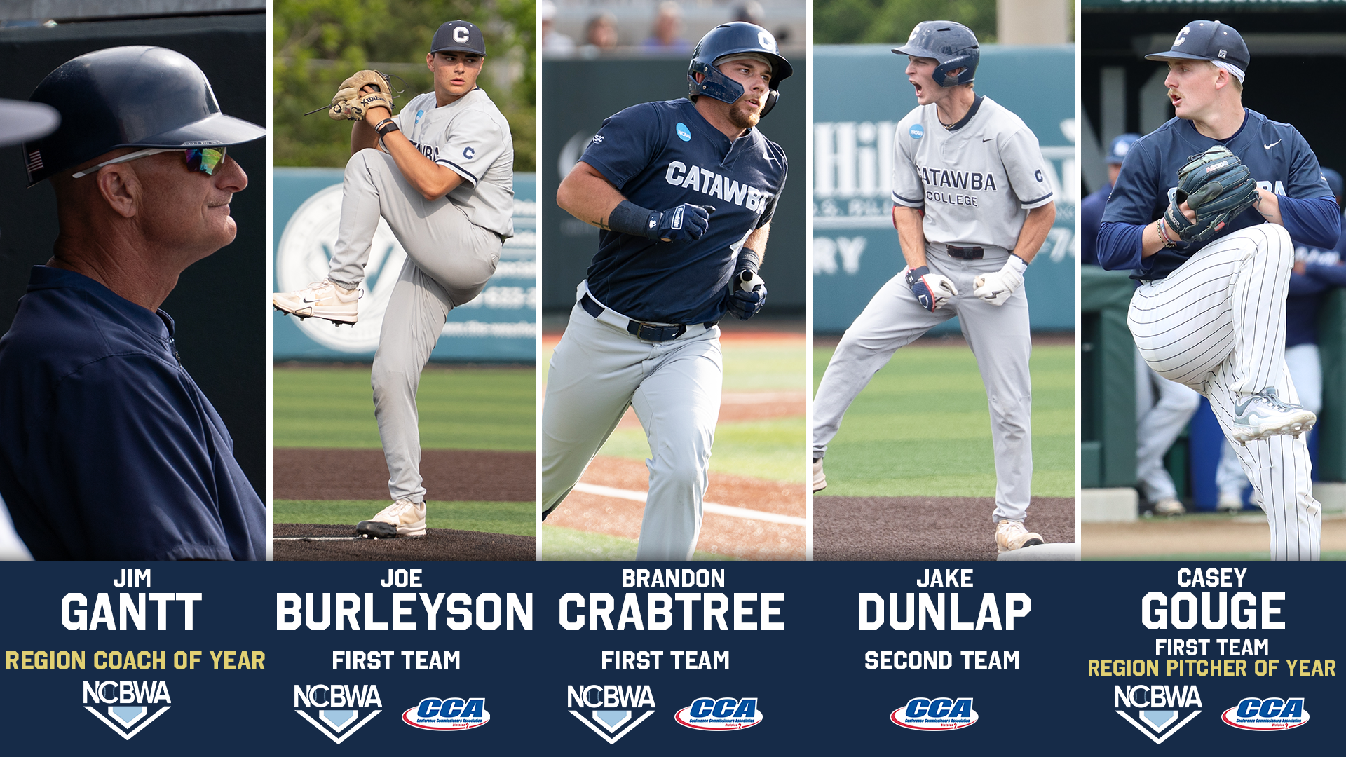 baseball all-region
