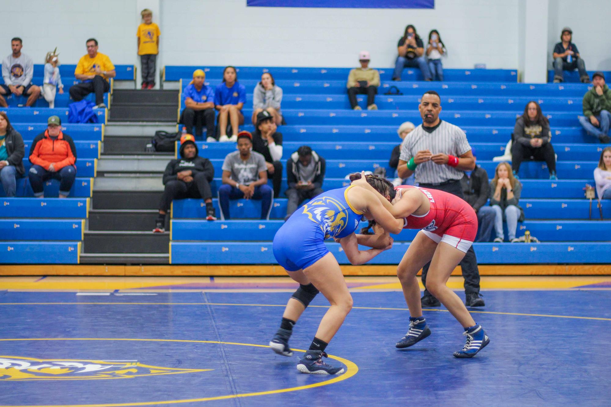 WWrestling Falcon Invite