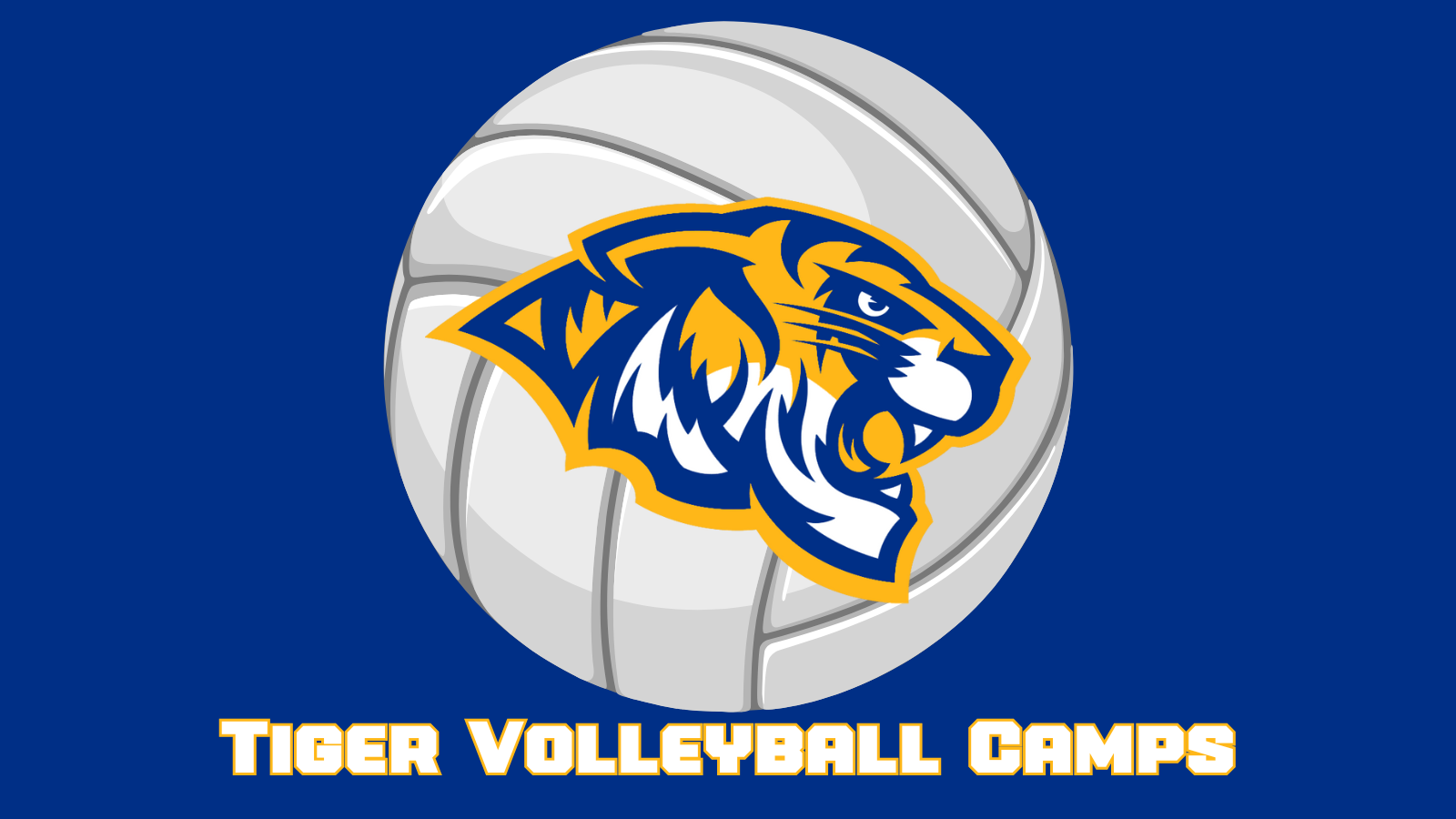 Volleyball Camp Graphic